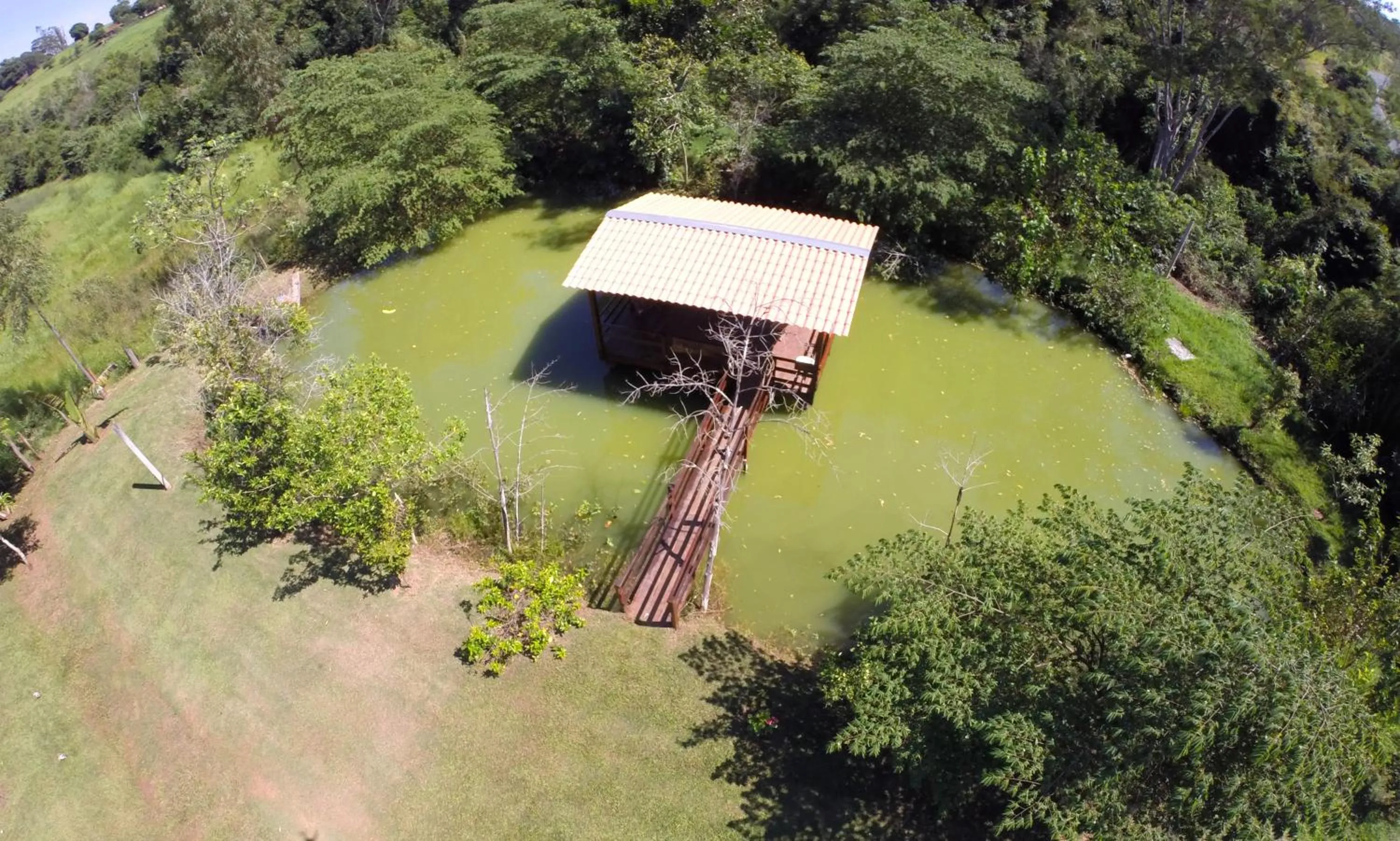 Entertainment in Monte Carlo Pousada