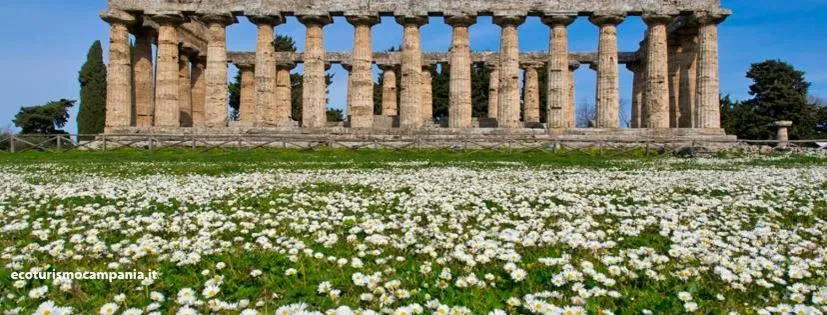 Nearby landmark in Il Giardino di Tonia - Oplontis Guest House - Bed & Garden -