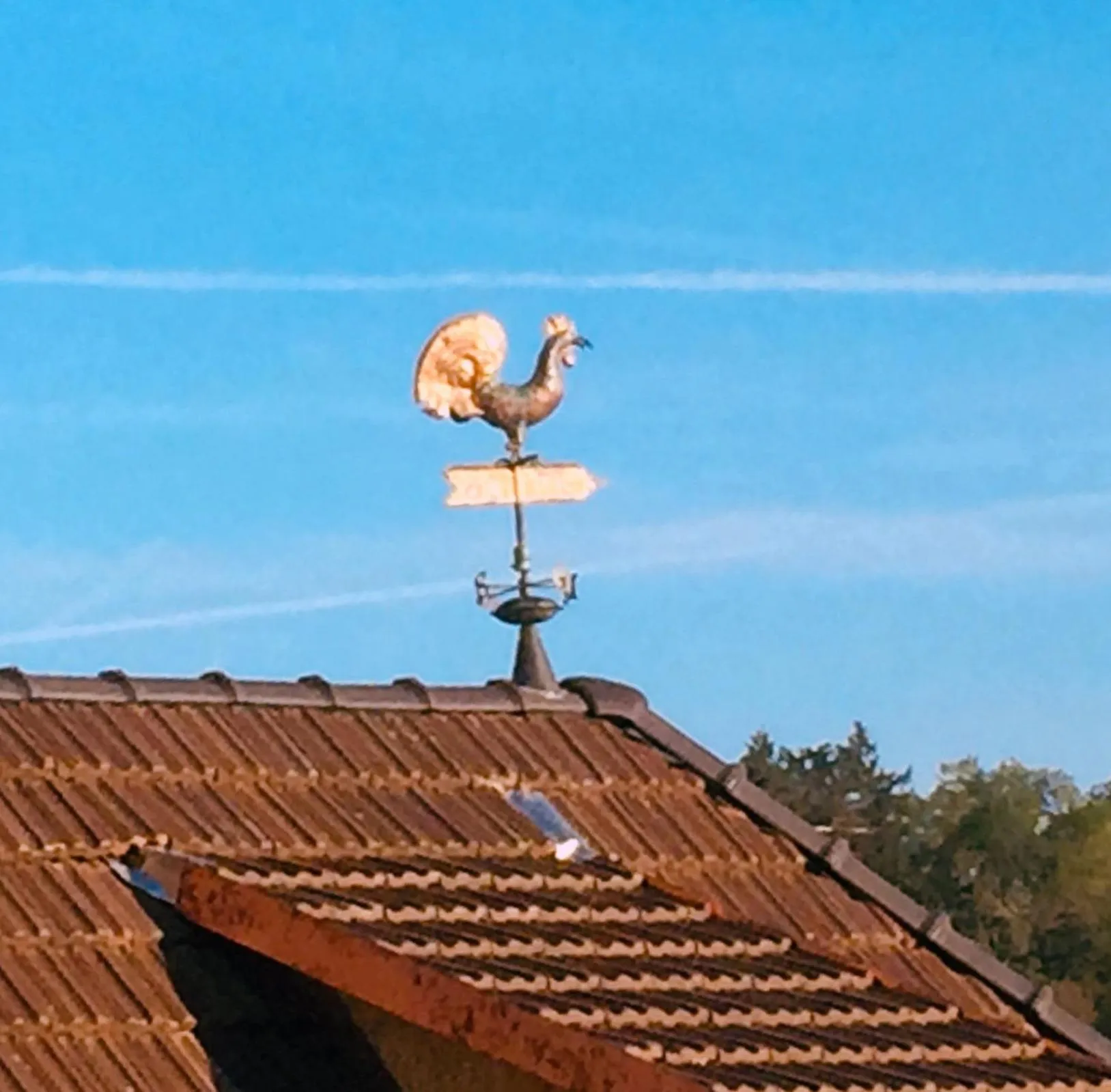 Property logo or sign in AD1716 apARTments Marktheidenfeld