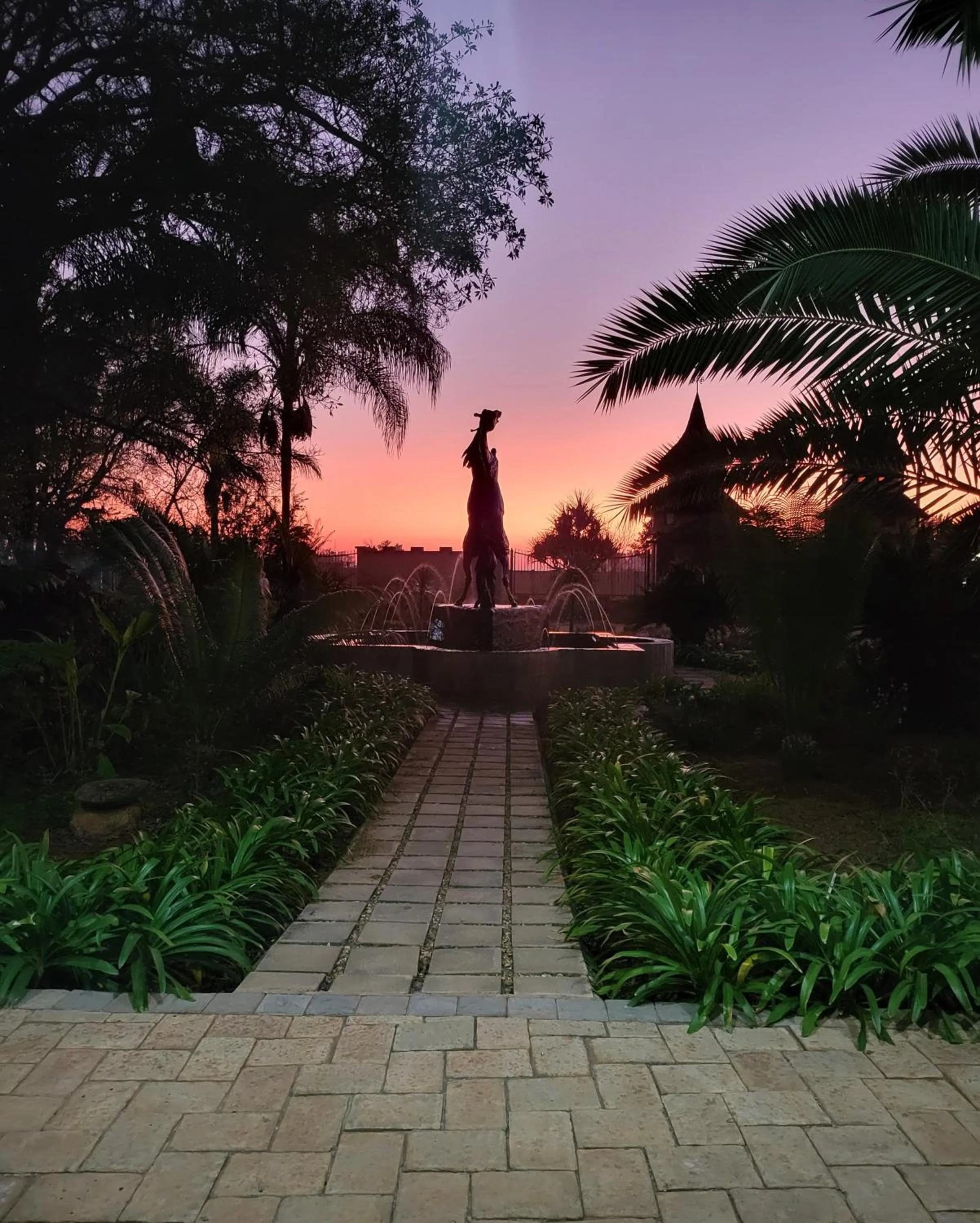 Natural landscape in Excalibur Boutique Hotel