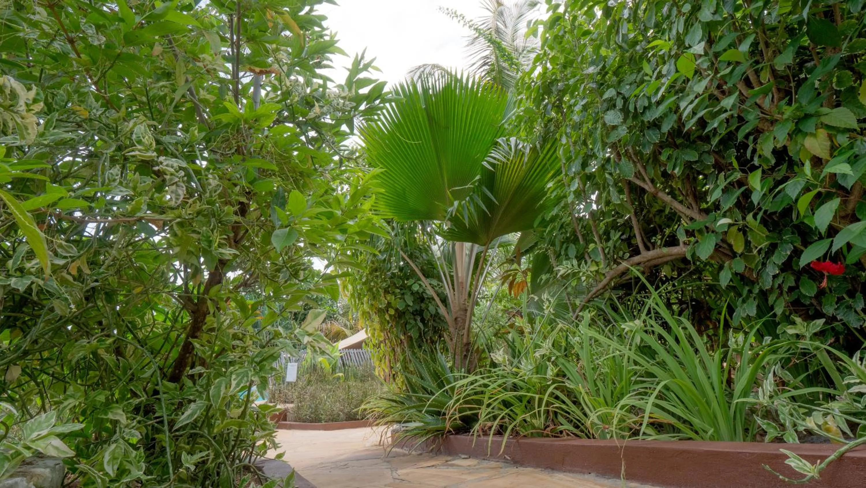 Garden in Nyumbani Residence Suites