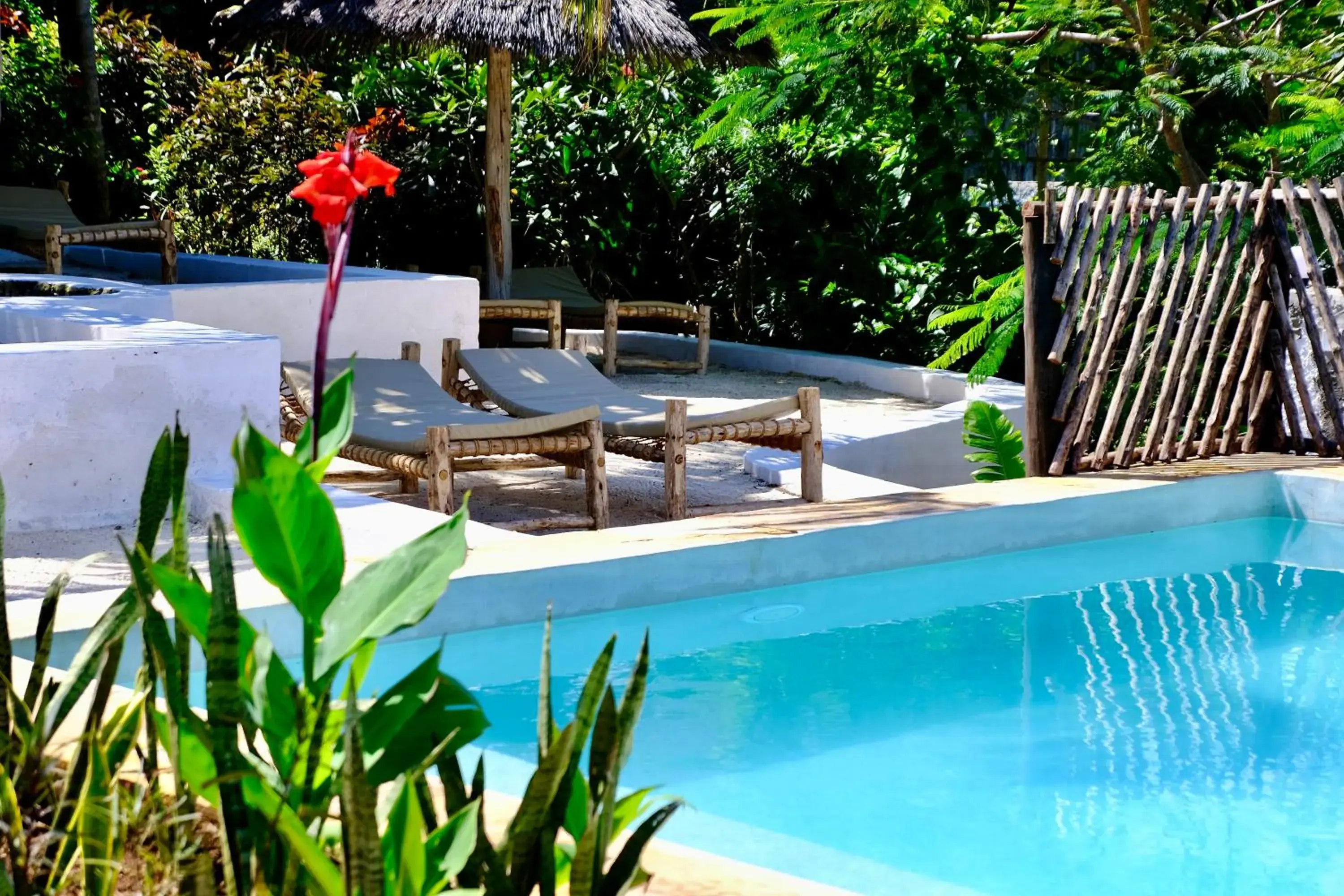 One-Bedroom Villa - single occupancy in Nyumbani Residence Suites One-Bedroom Villa - single occupancy in Nyumbani Residence Suites