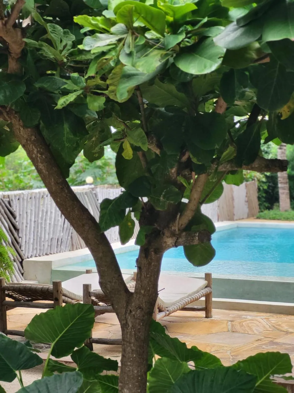 Day in Nyumbani Residence Suites