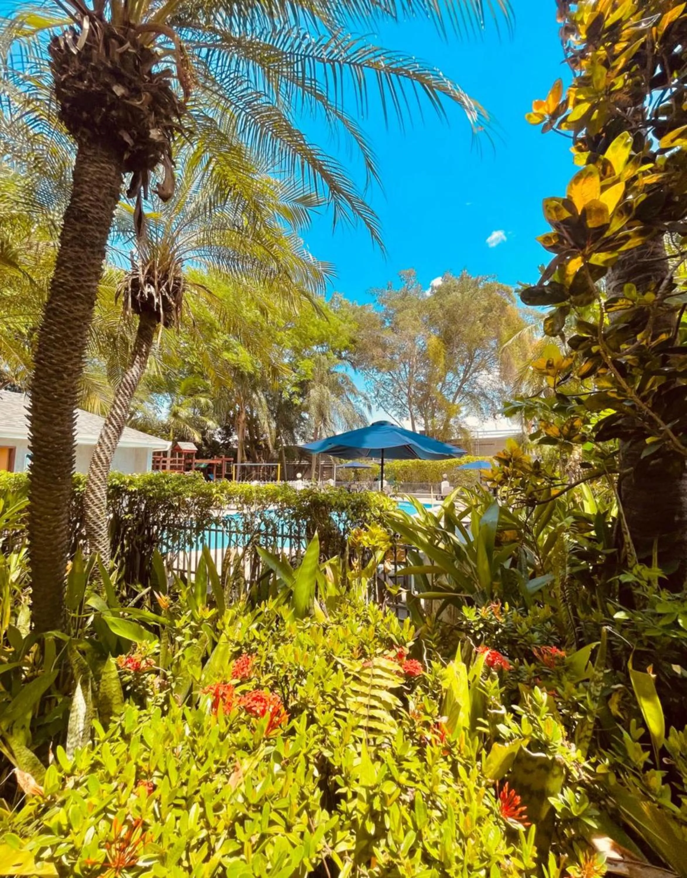 Garden view in Metrotel Express