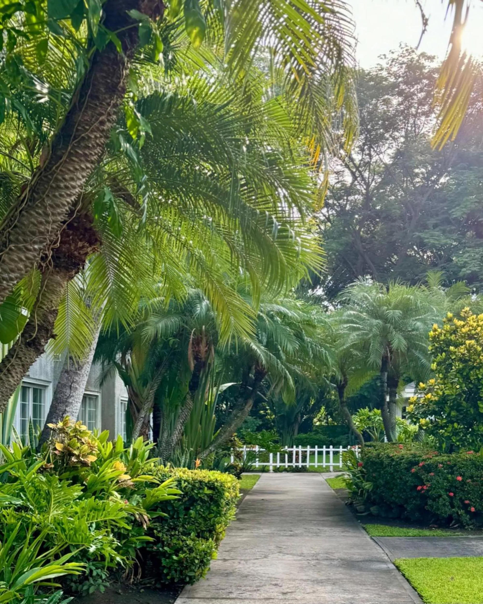 Garden in Metrotel Express