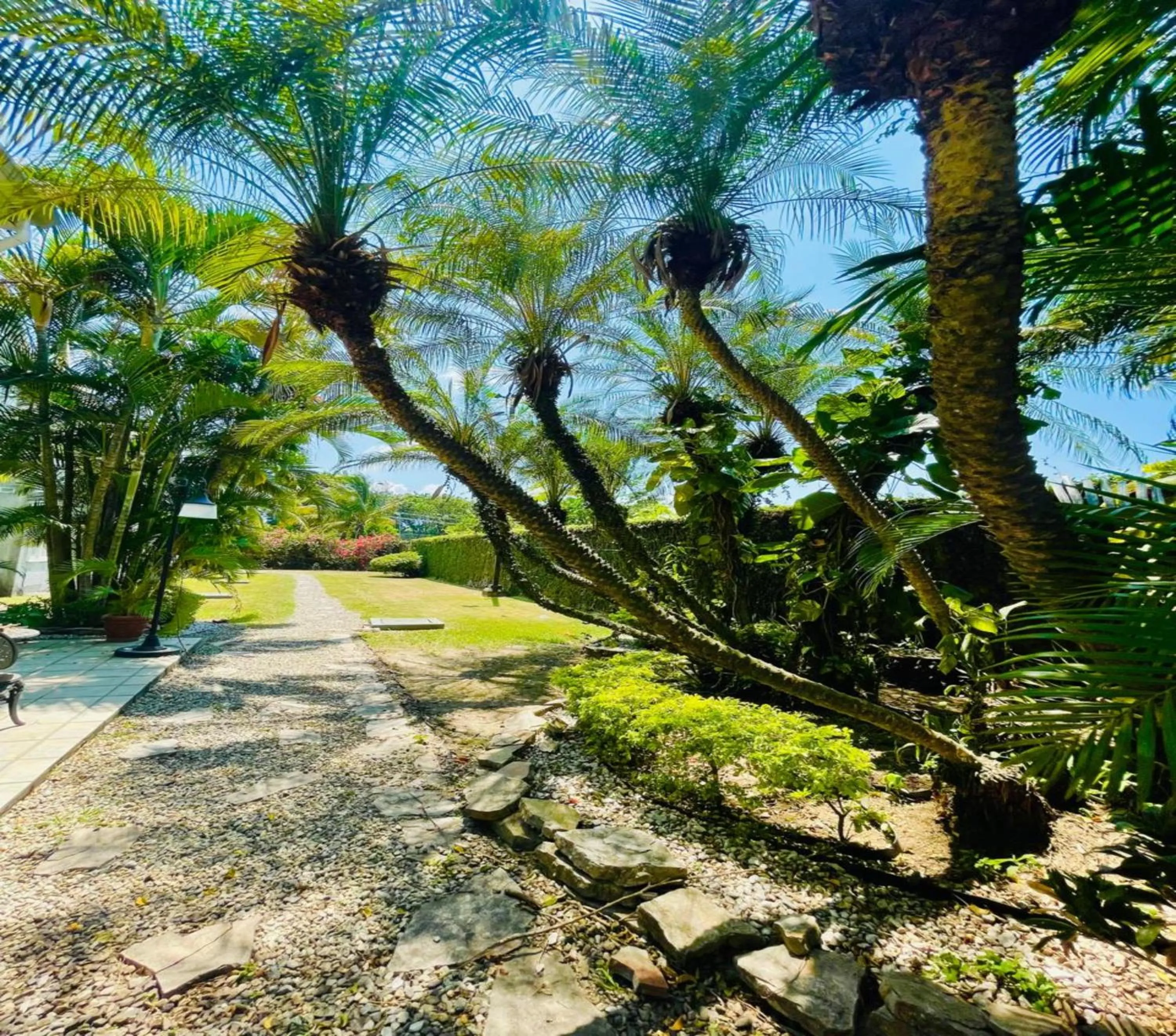 Day in Metrotel Express