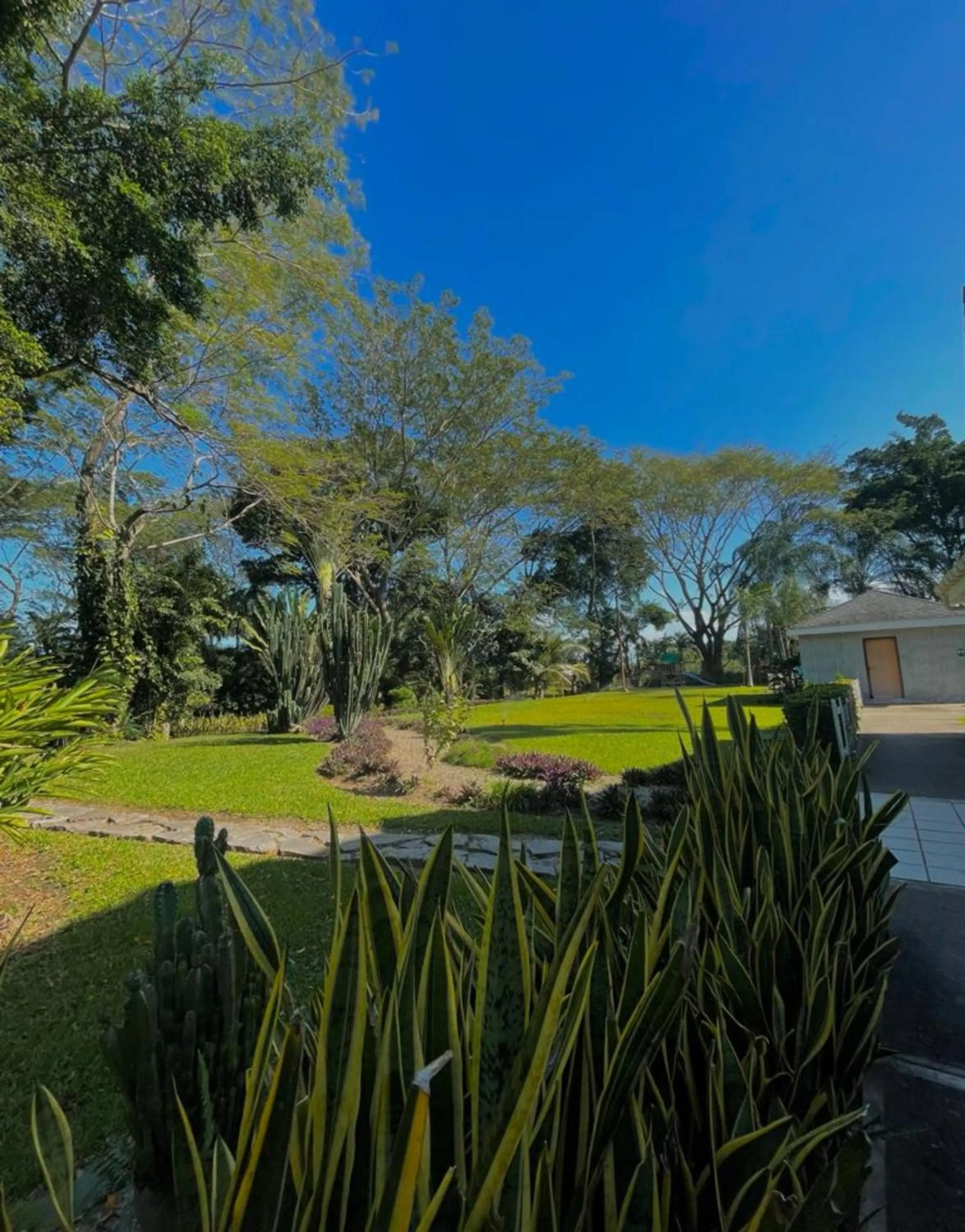 Garden in Metrotel Express