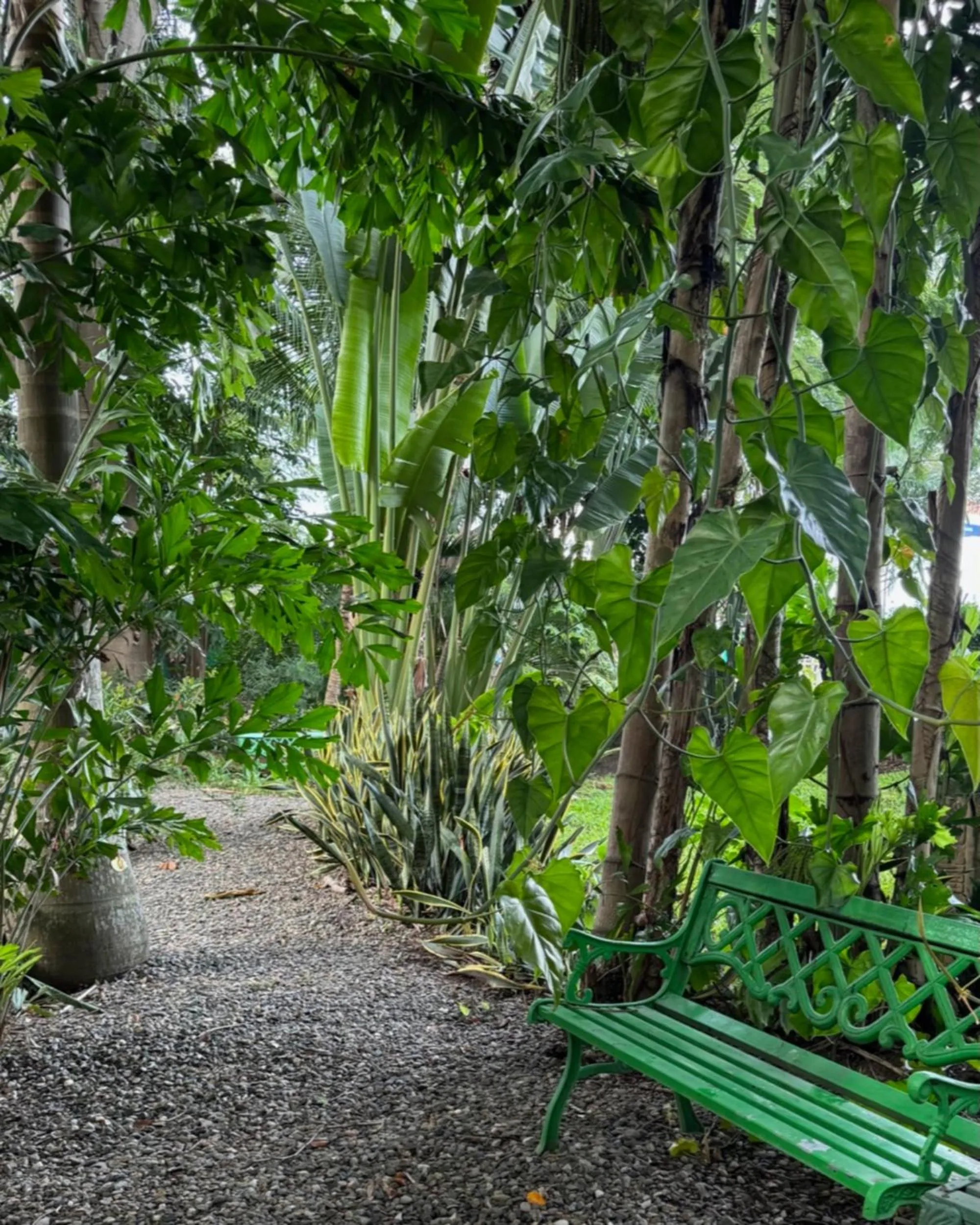 Garden in Metrotel Express