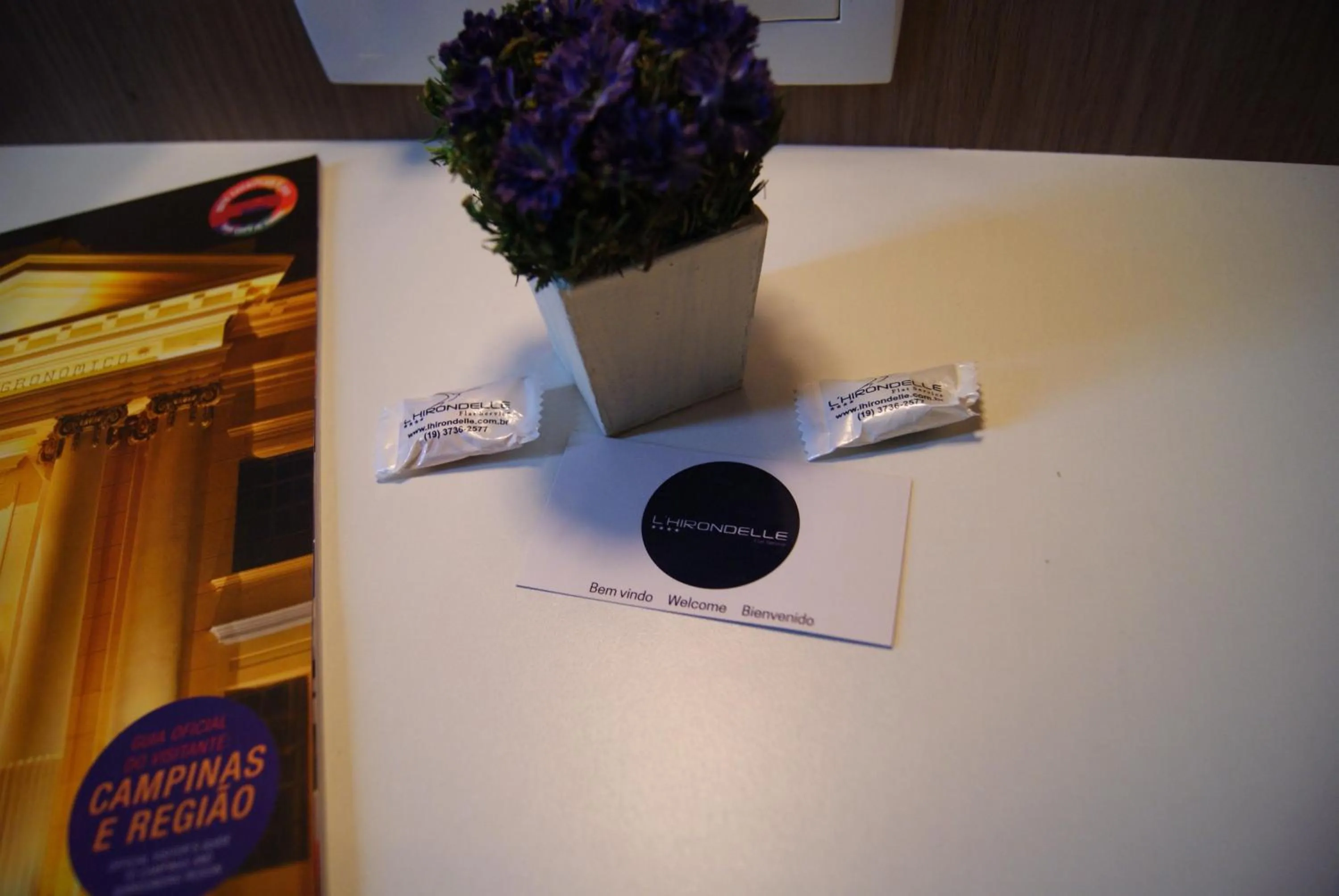 Logo/Certificate/Sign in L'Hirondelle Flat Service