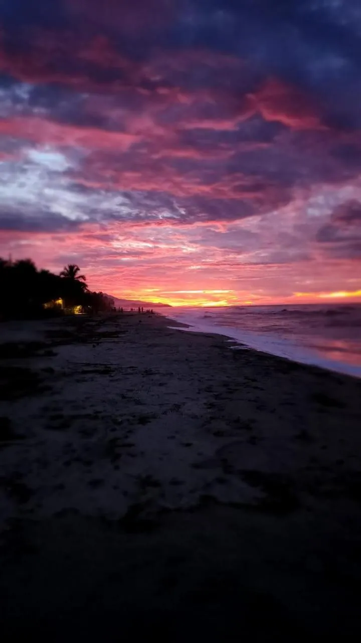 Beach in Blue Mango Beach Hotel