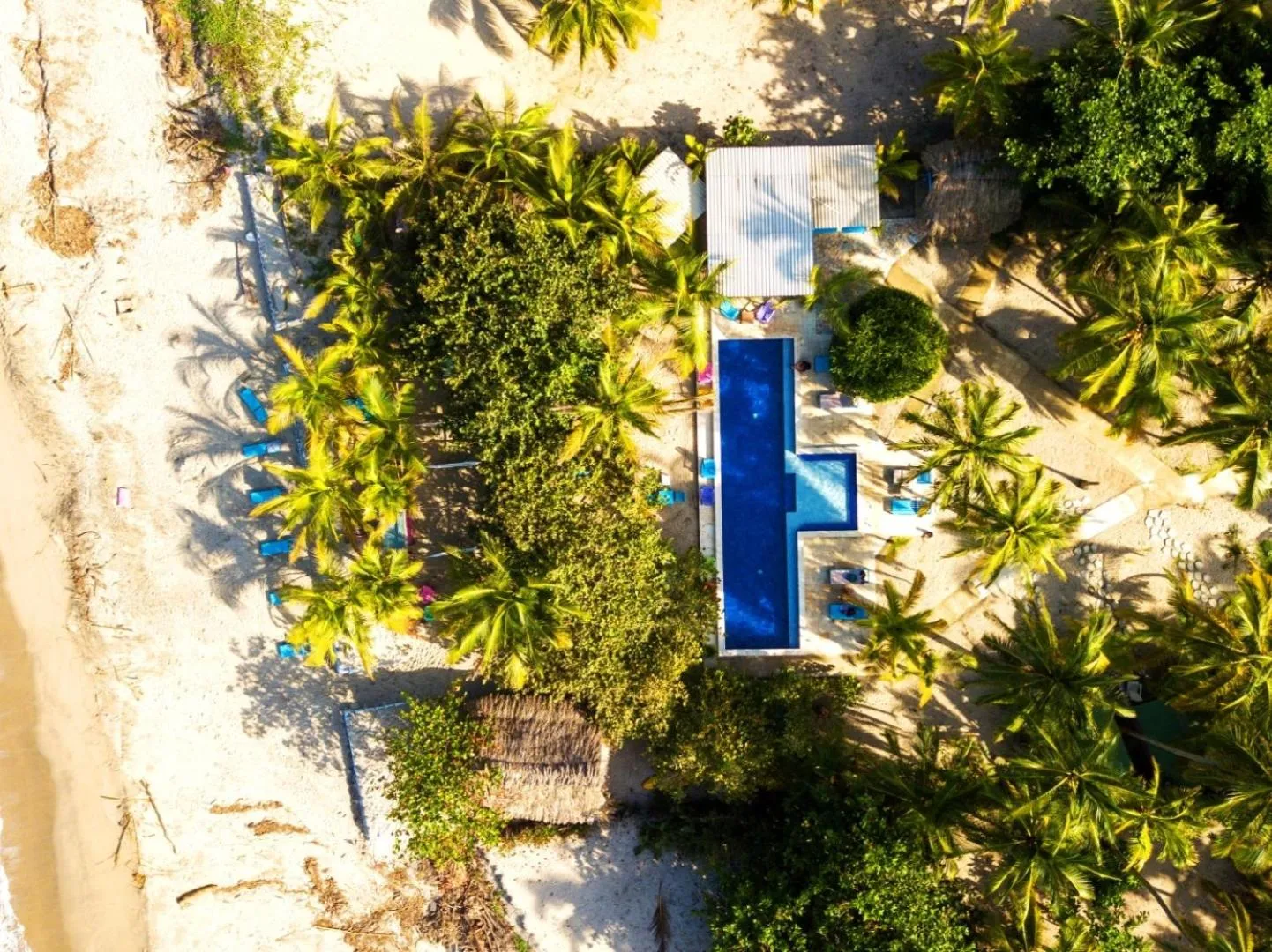 Blue Mango Beach Hotel