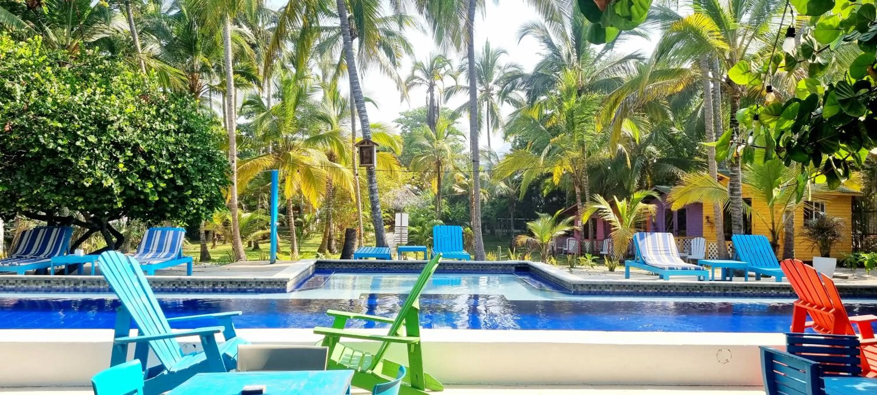 Swimming pool in Blue Mango Beach Hotel