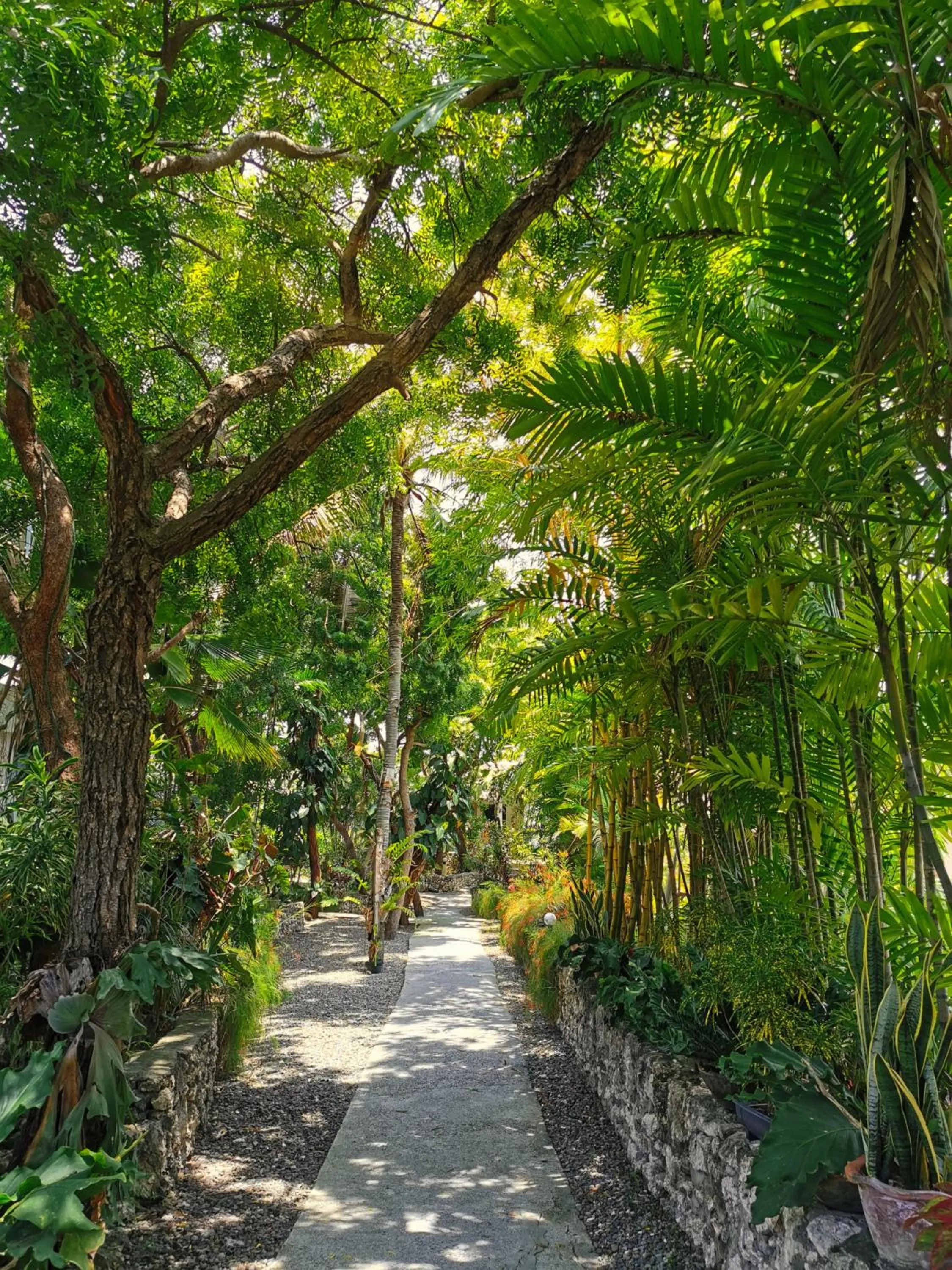 Garden in Marcosas Cottages Resort