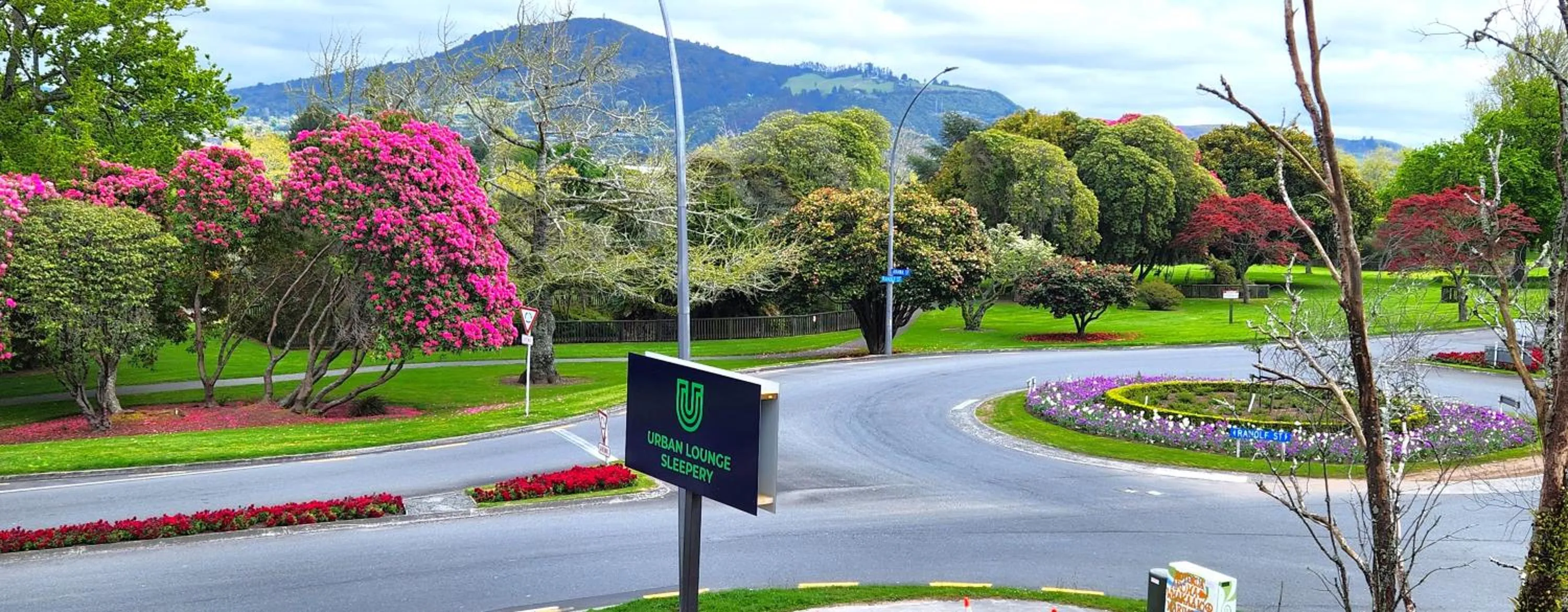 View (from property/room) in Urban Lounge Sleepery, SureStay Collection by BW