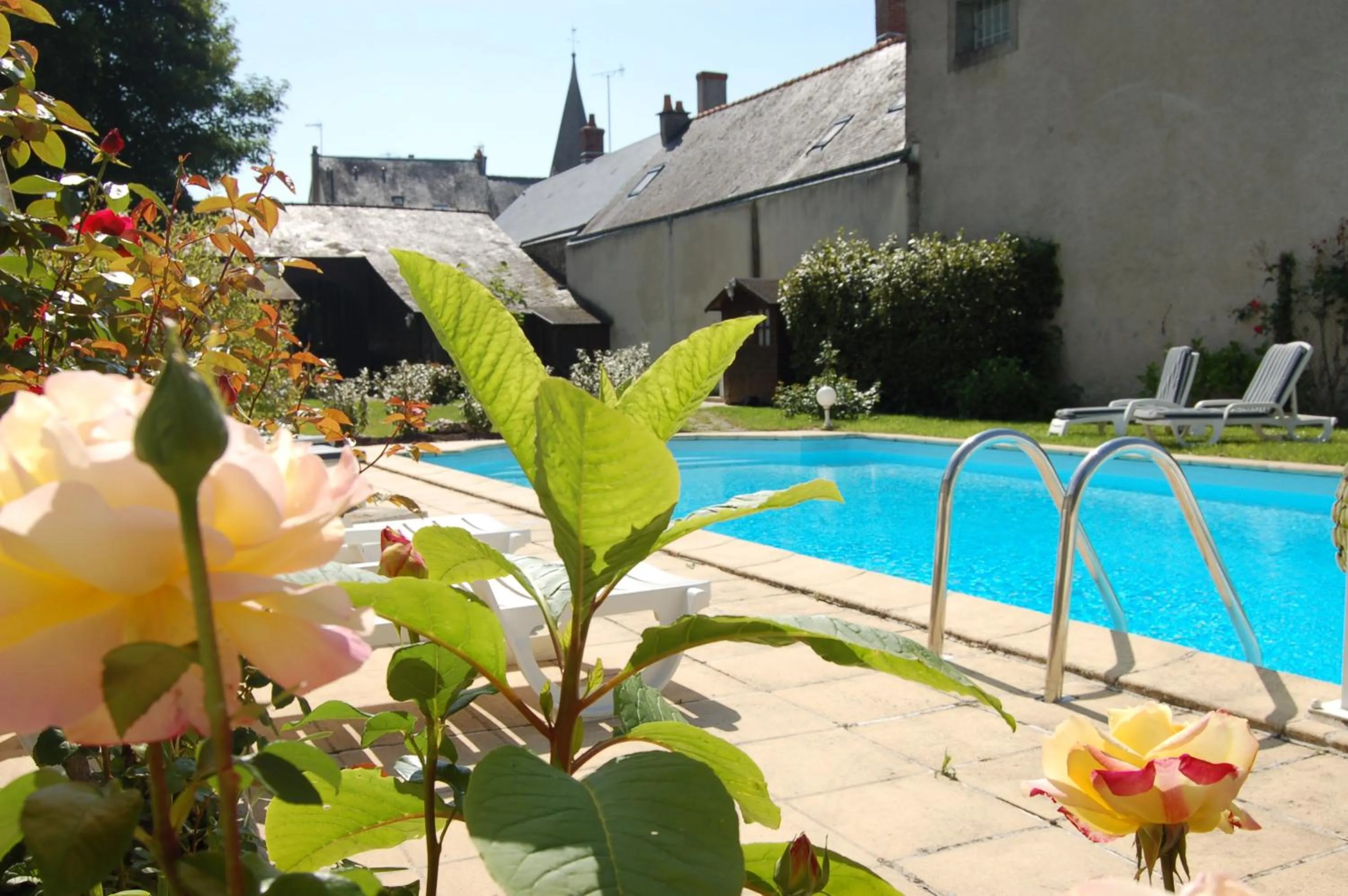 Swimming pool in Logis Hotel Restaurant Le Cheval Blanc