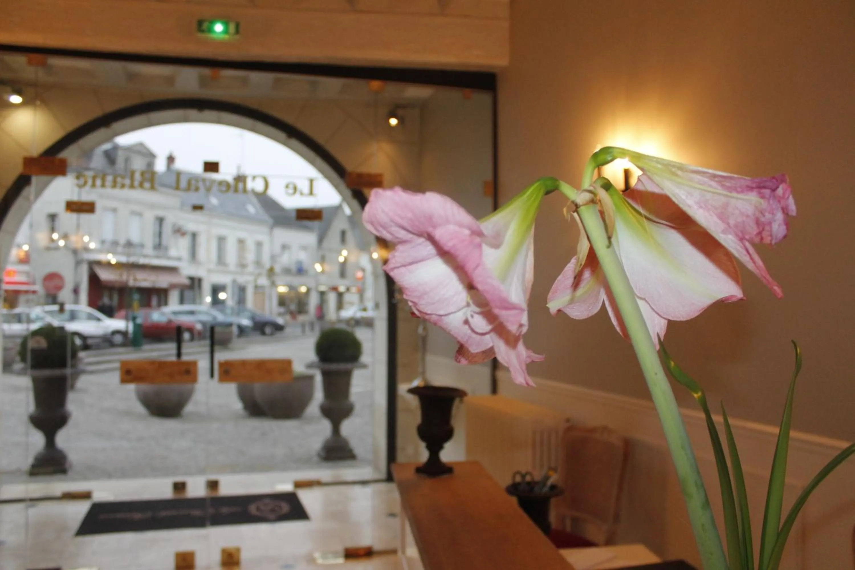 Decorative detail in Logis Hotel Restaurant Le Cheval Blanc