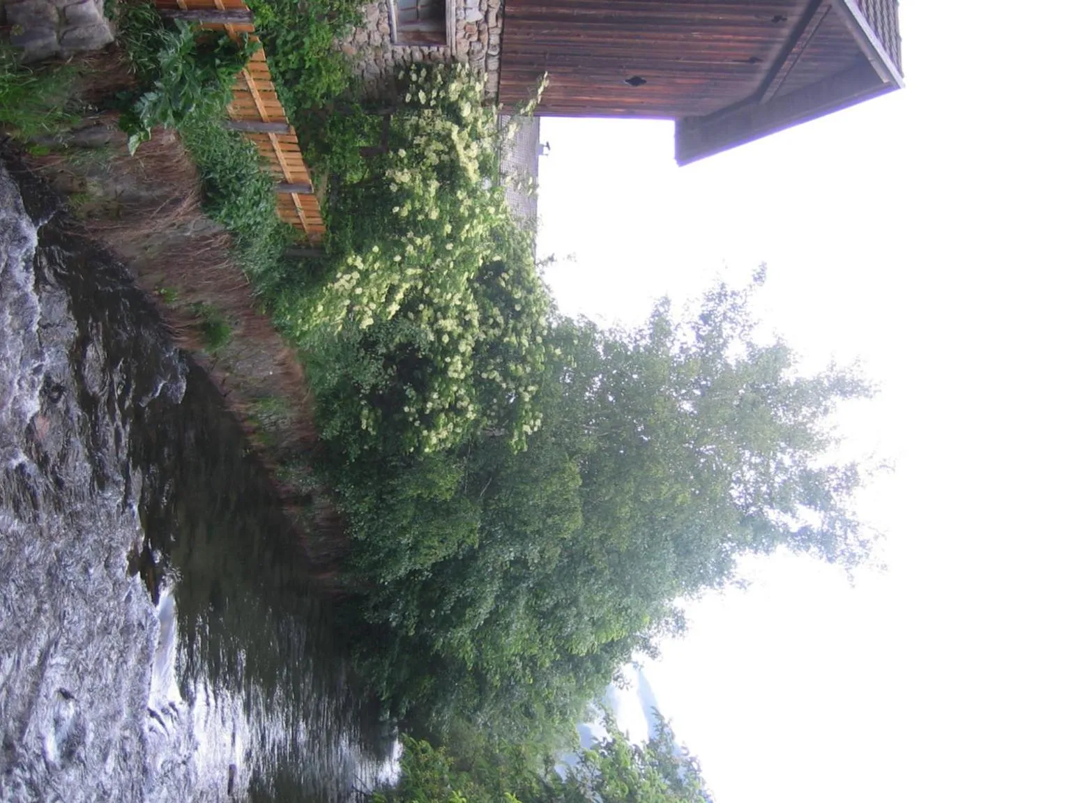 Area and facilities in Schmalzlhof Hotel & Apartments