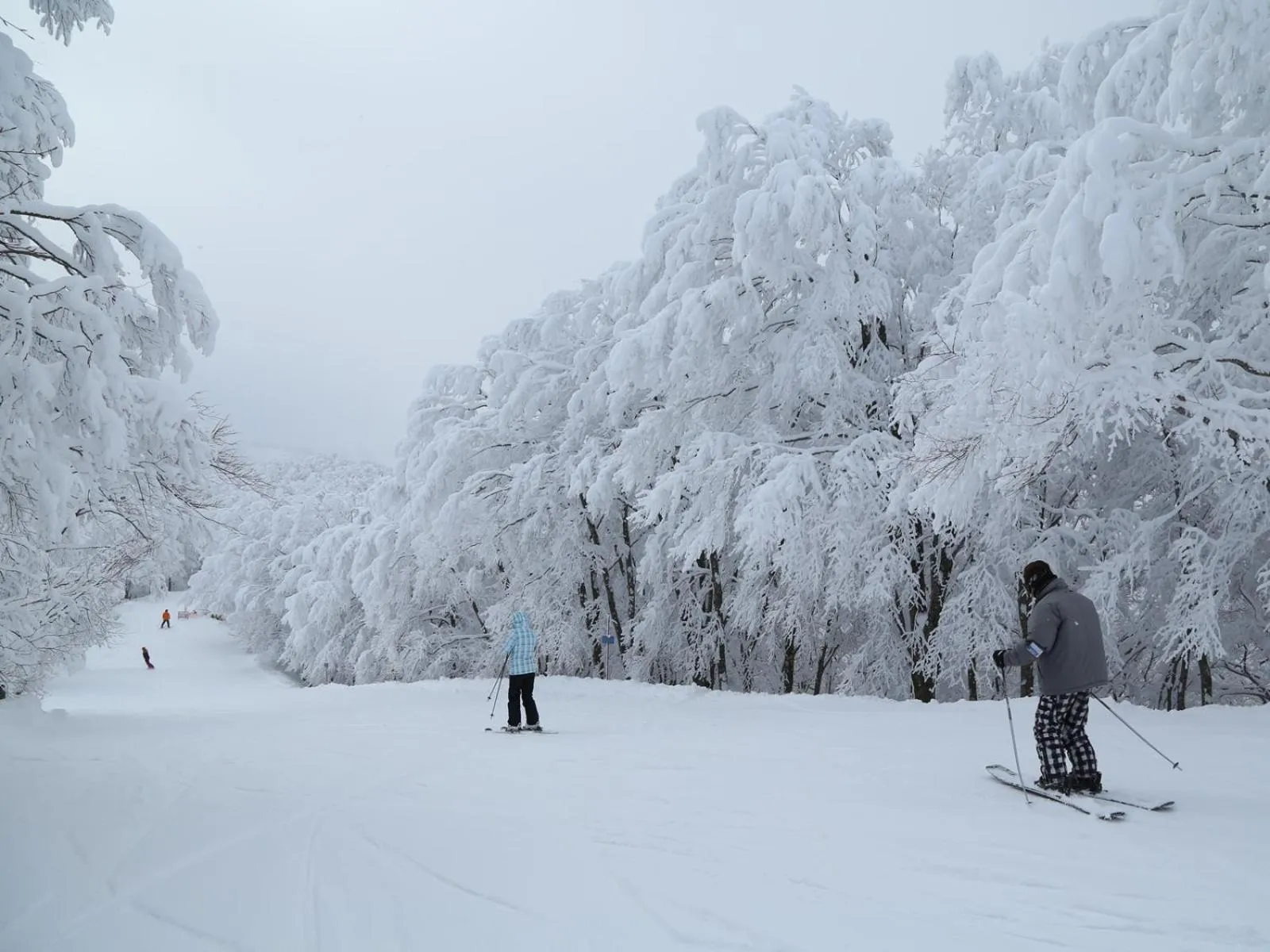 Winter in Apprising hotels GranJam Tsugaike