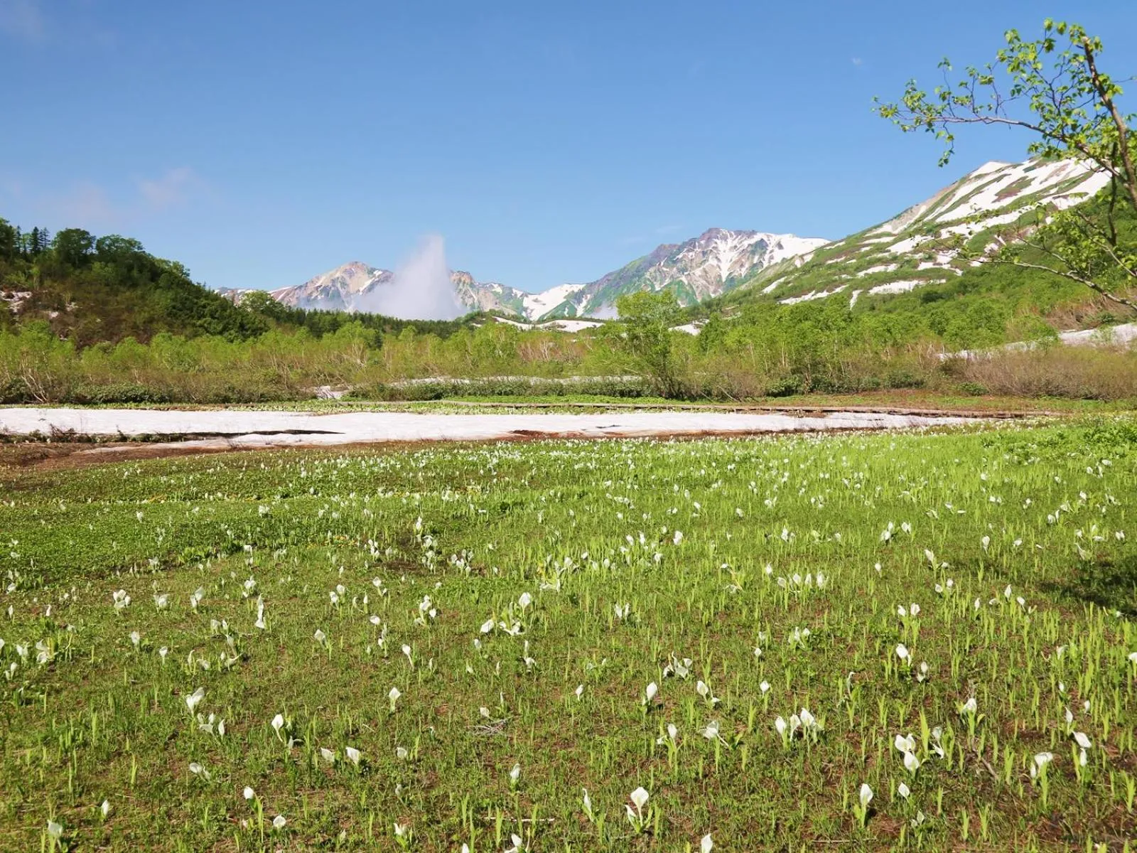 Off site in Apprising hotels GranJam Tsugaike