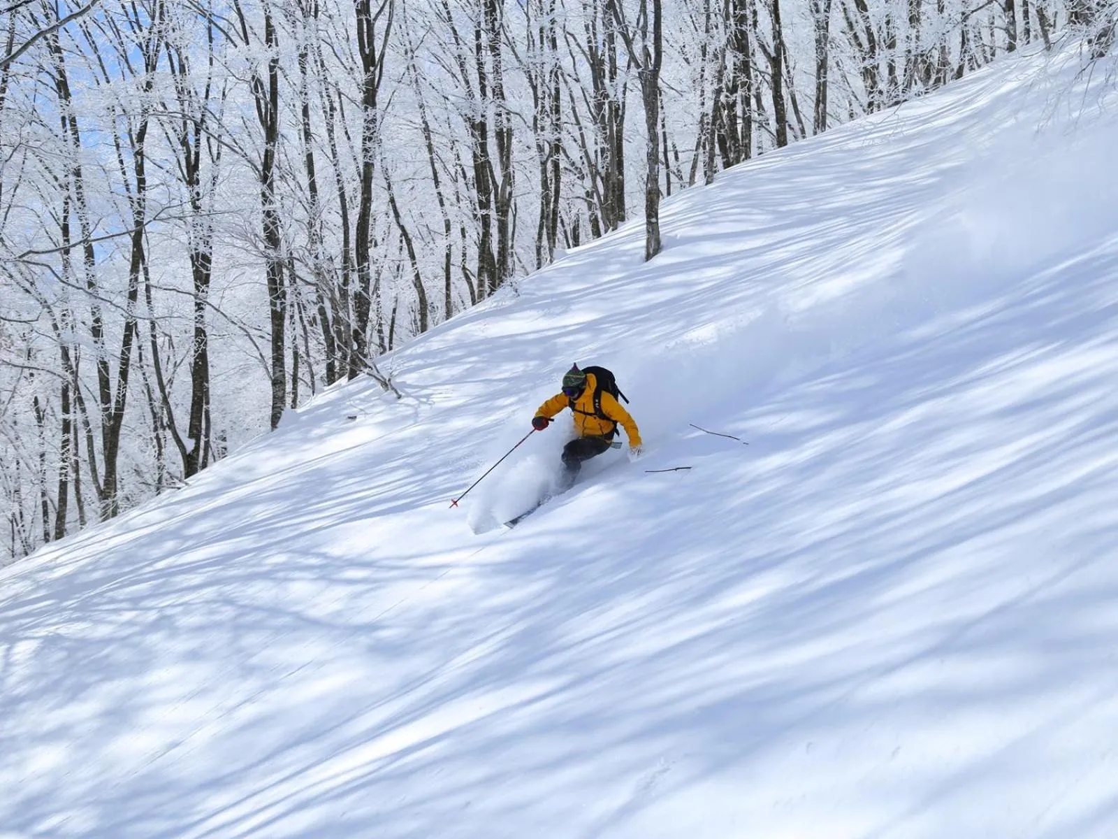 Activities in Apprising hotels GranJam Tsugaike