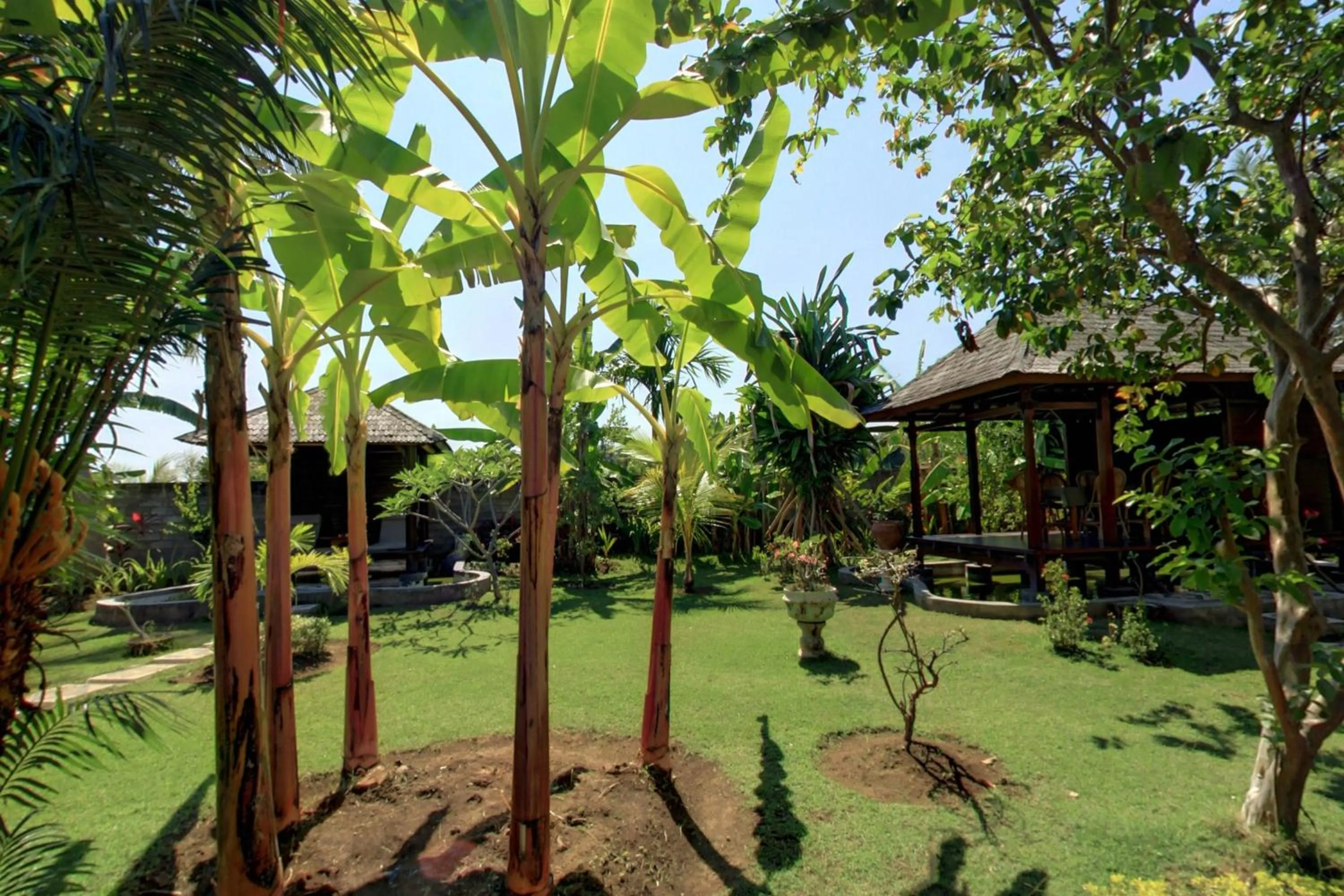 Patio in Sawah Lovina