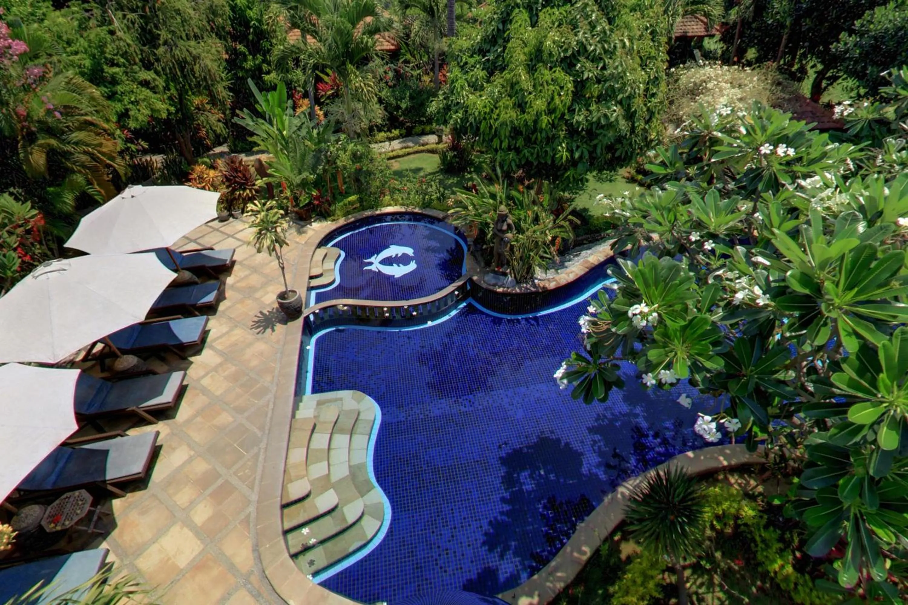 Bird's eye view in Sawah Lovina