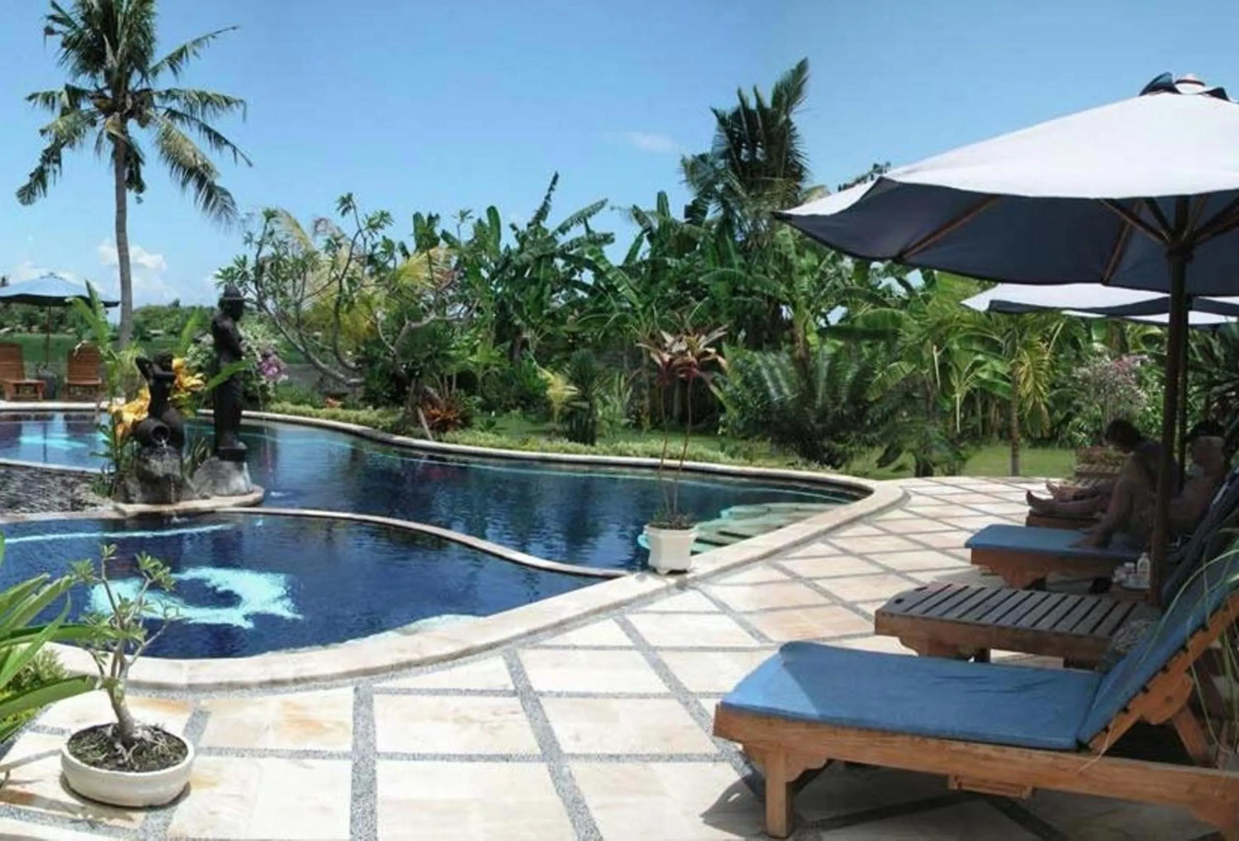 Swimming pool in Sawah Lovina