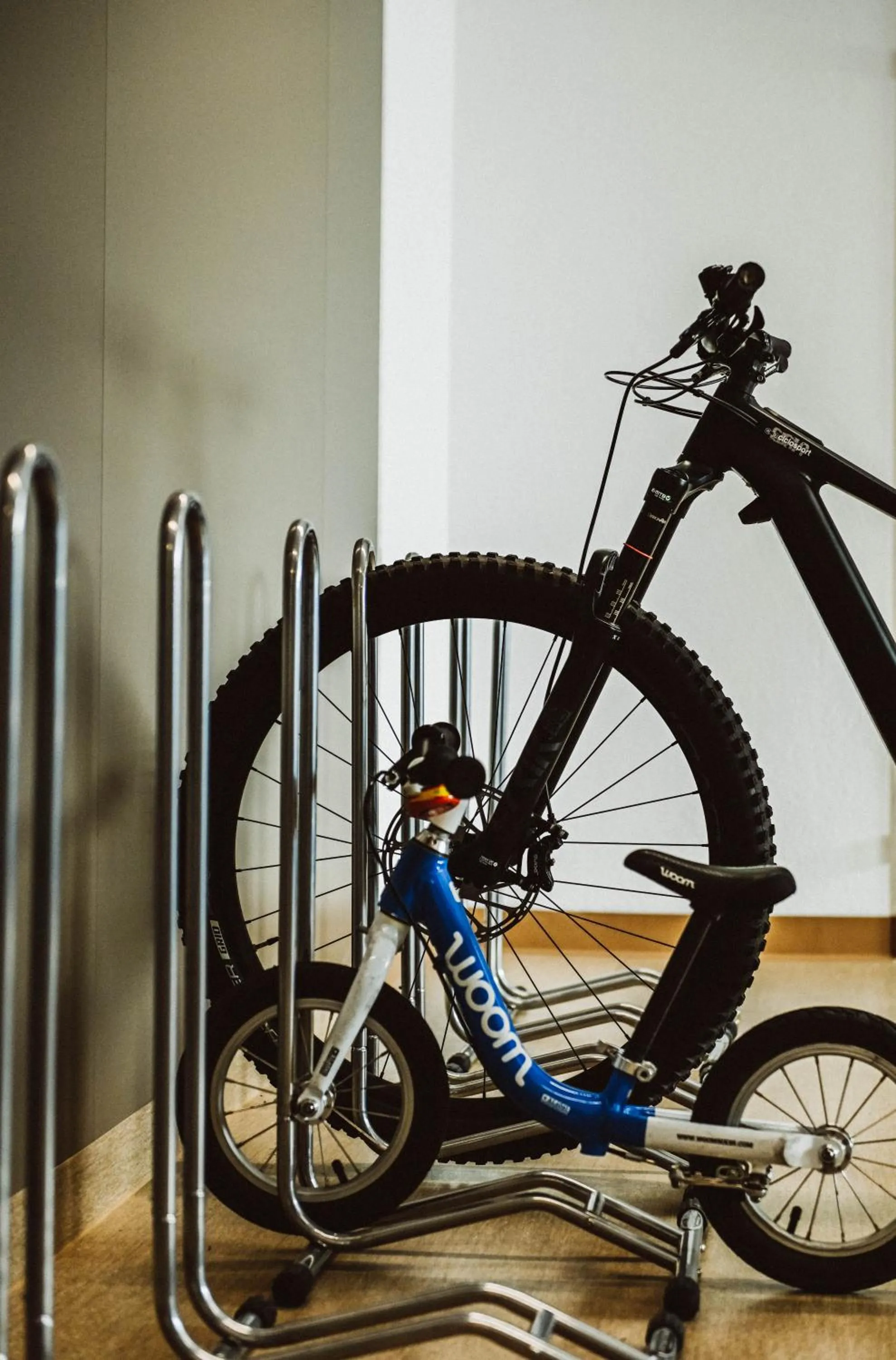 Cycling in Hotel Neu-Schönstatt