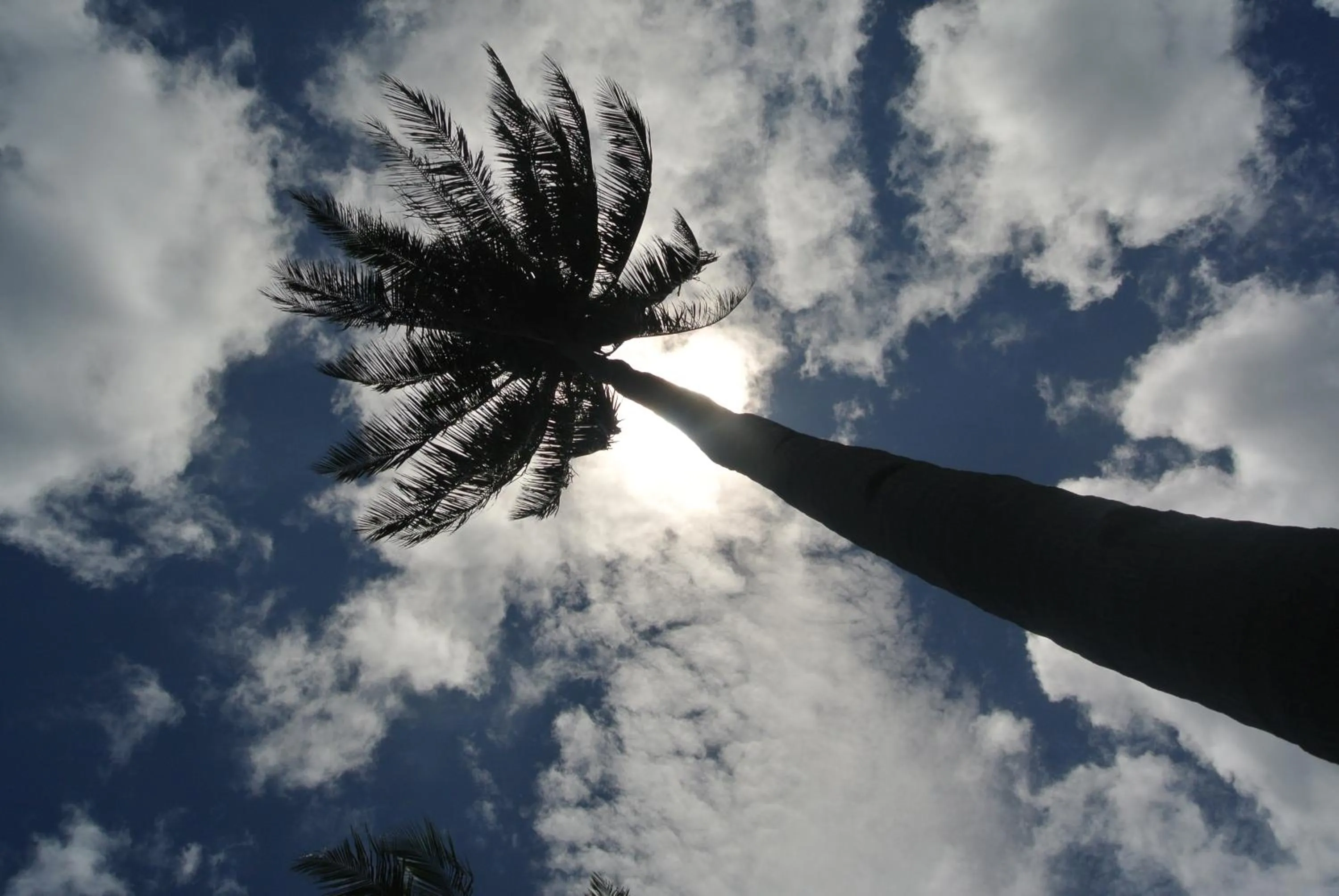 View (from property/room) in Tongatok Cliff Resort