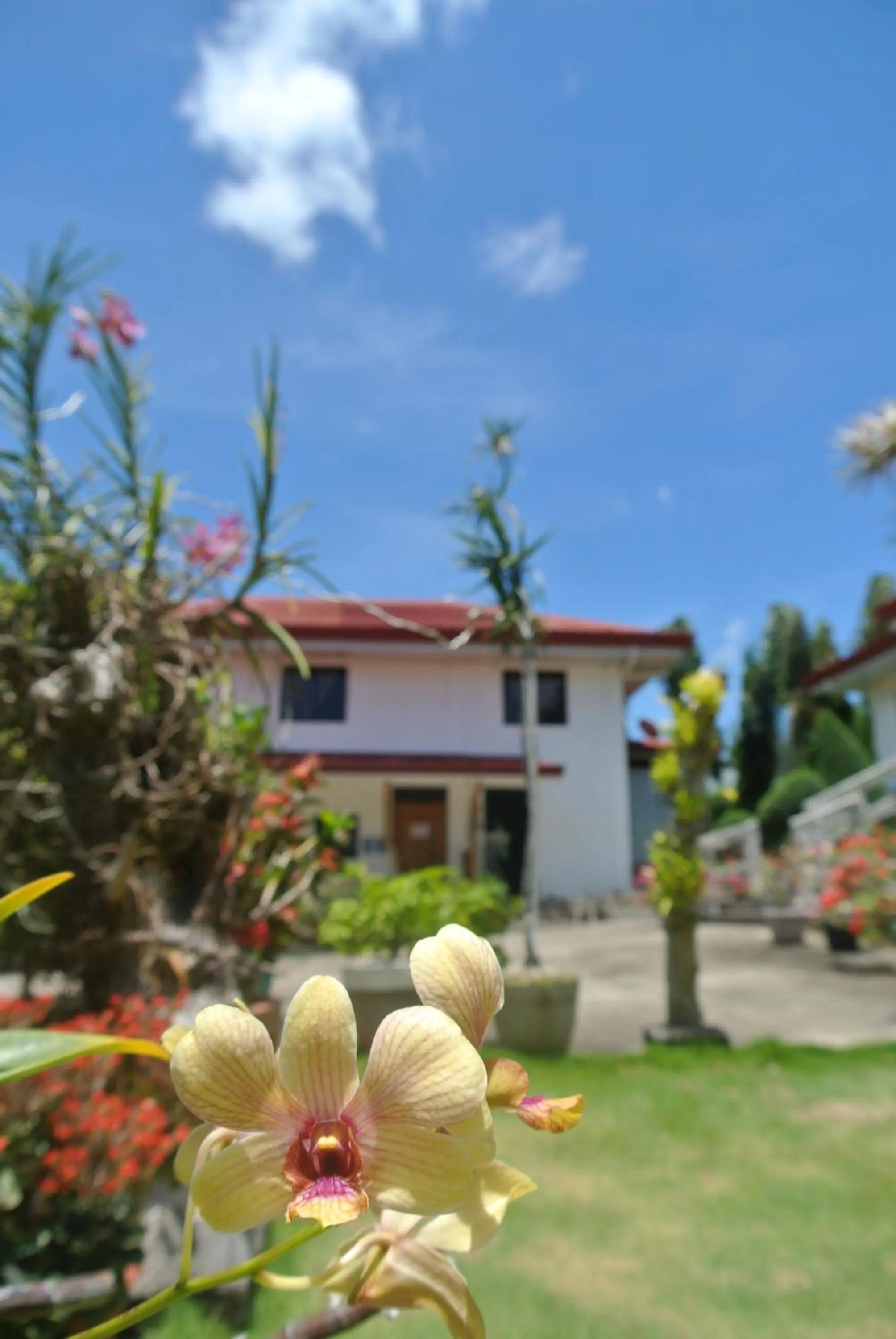 Garden in Tongatok Cliff Resort
