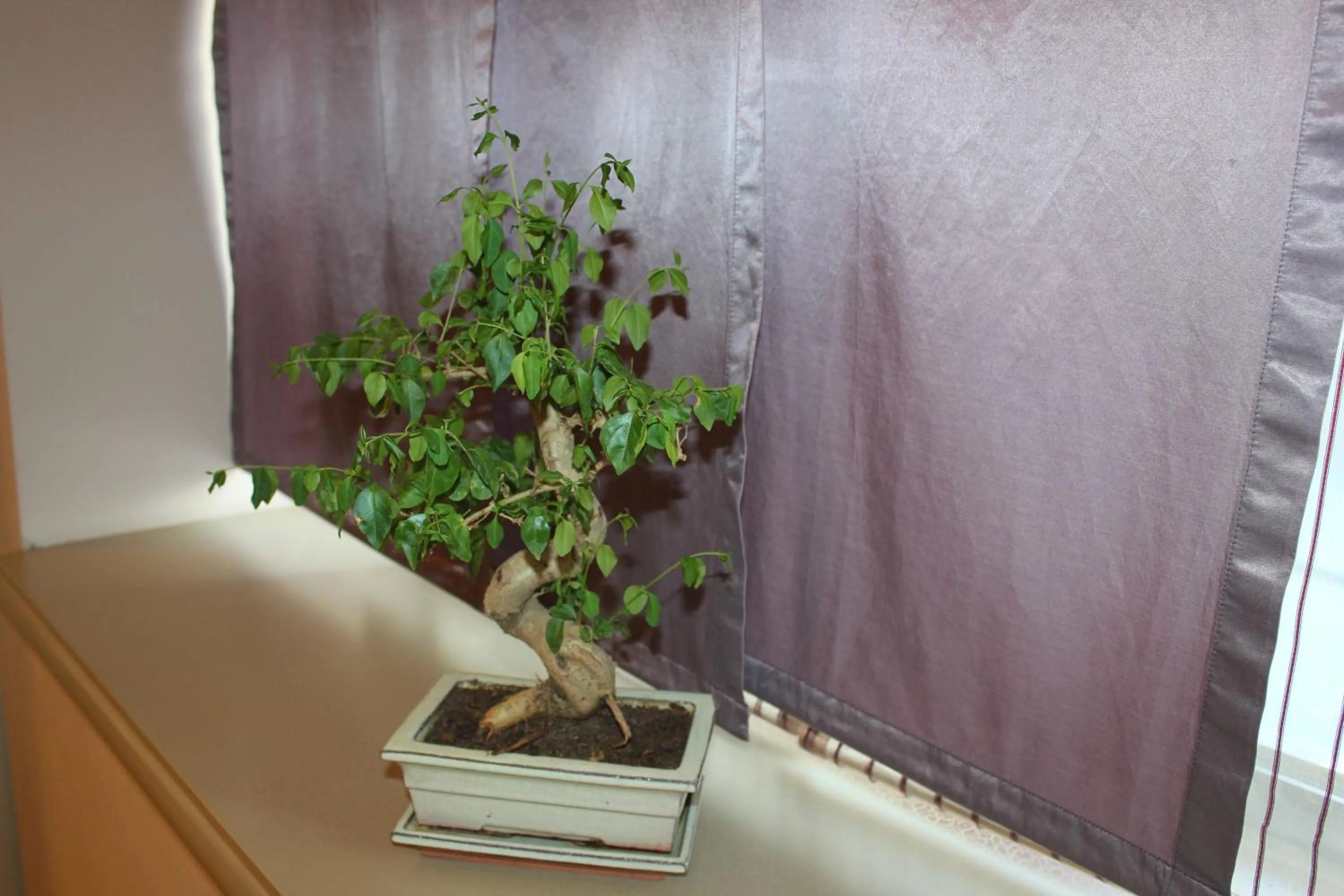 Decorative detail in Hotel Centar