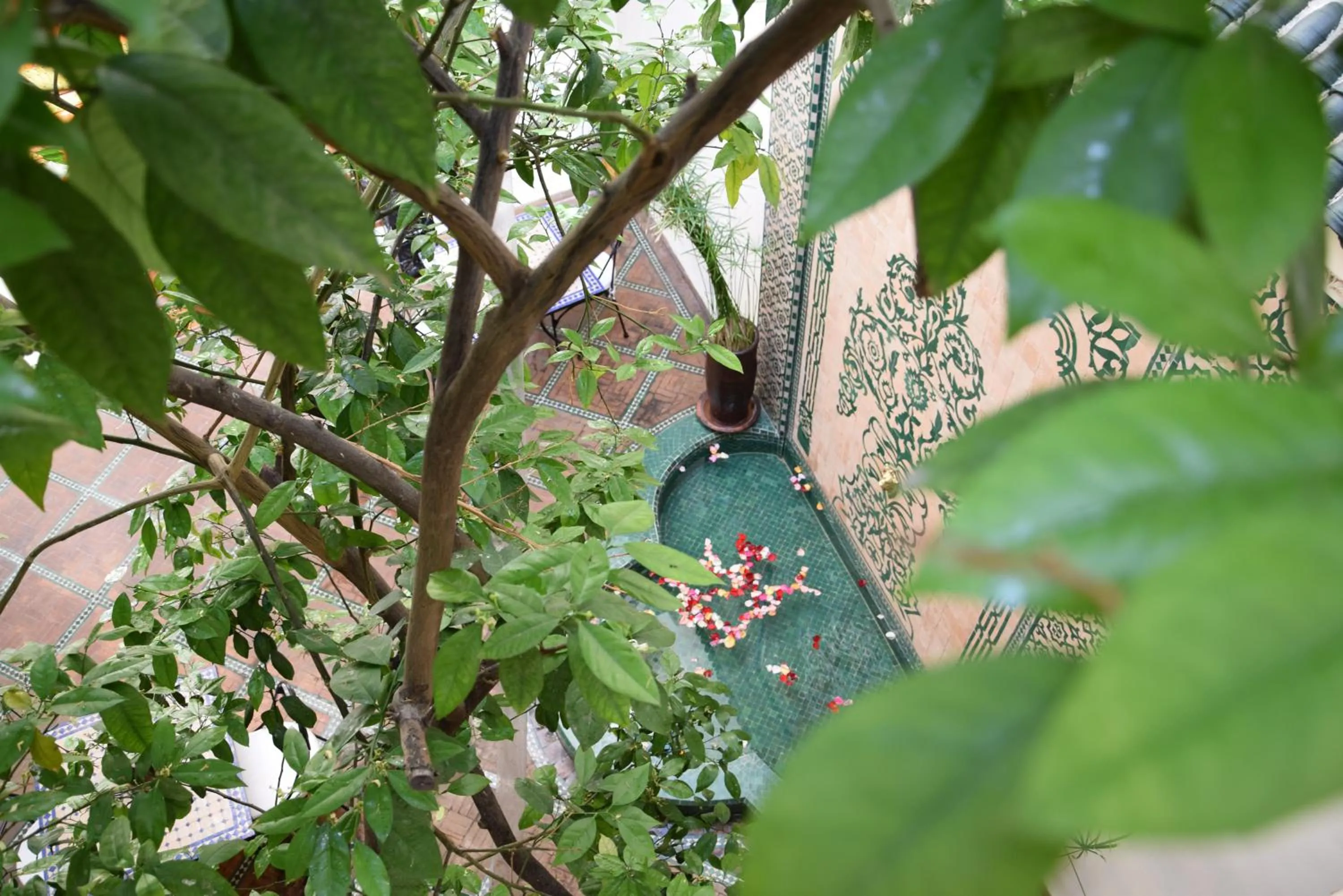 Patio in Riad Granvilier