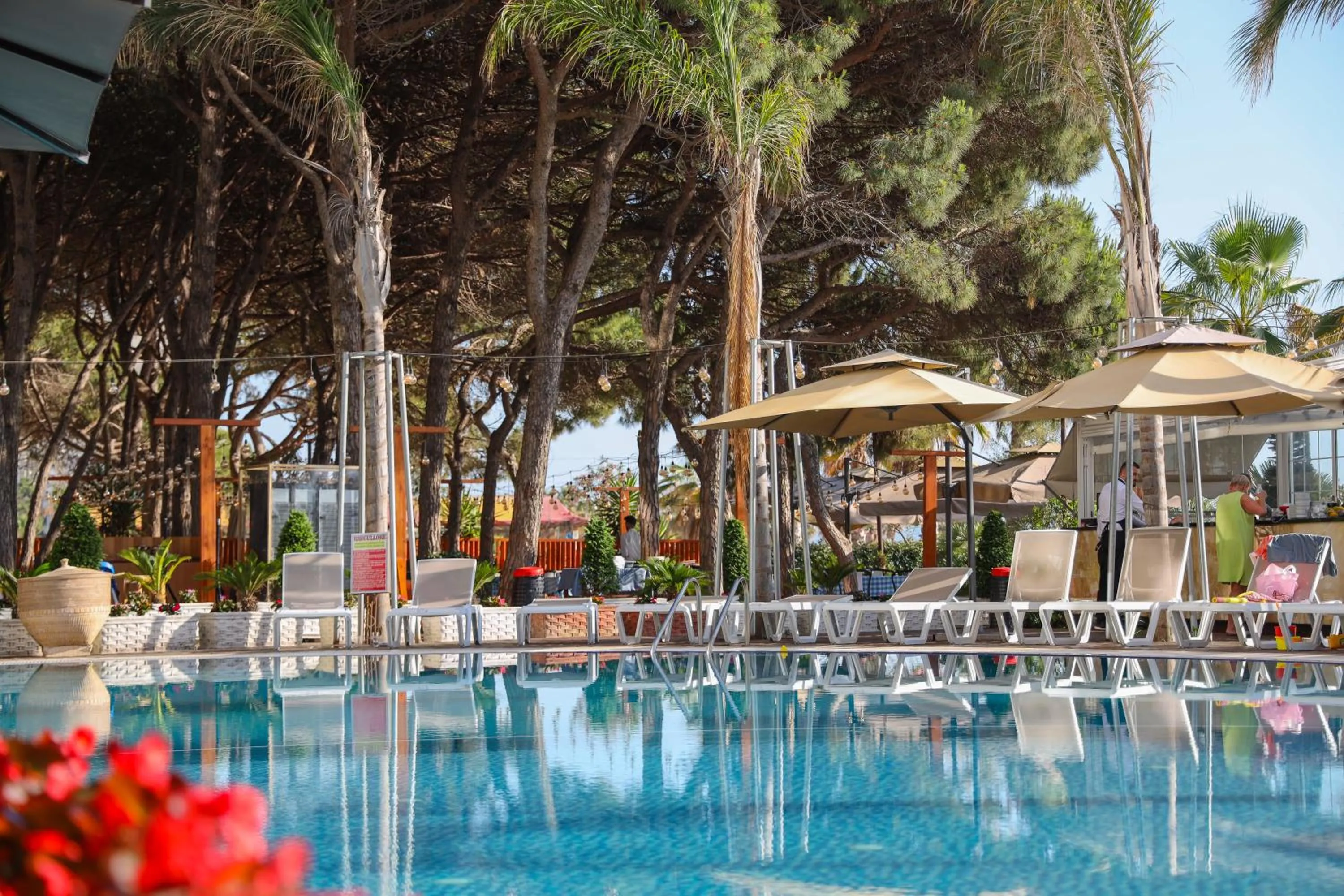 Day in VM Resort & SPA