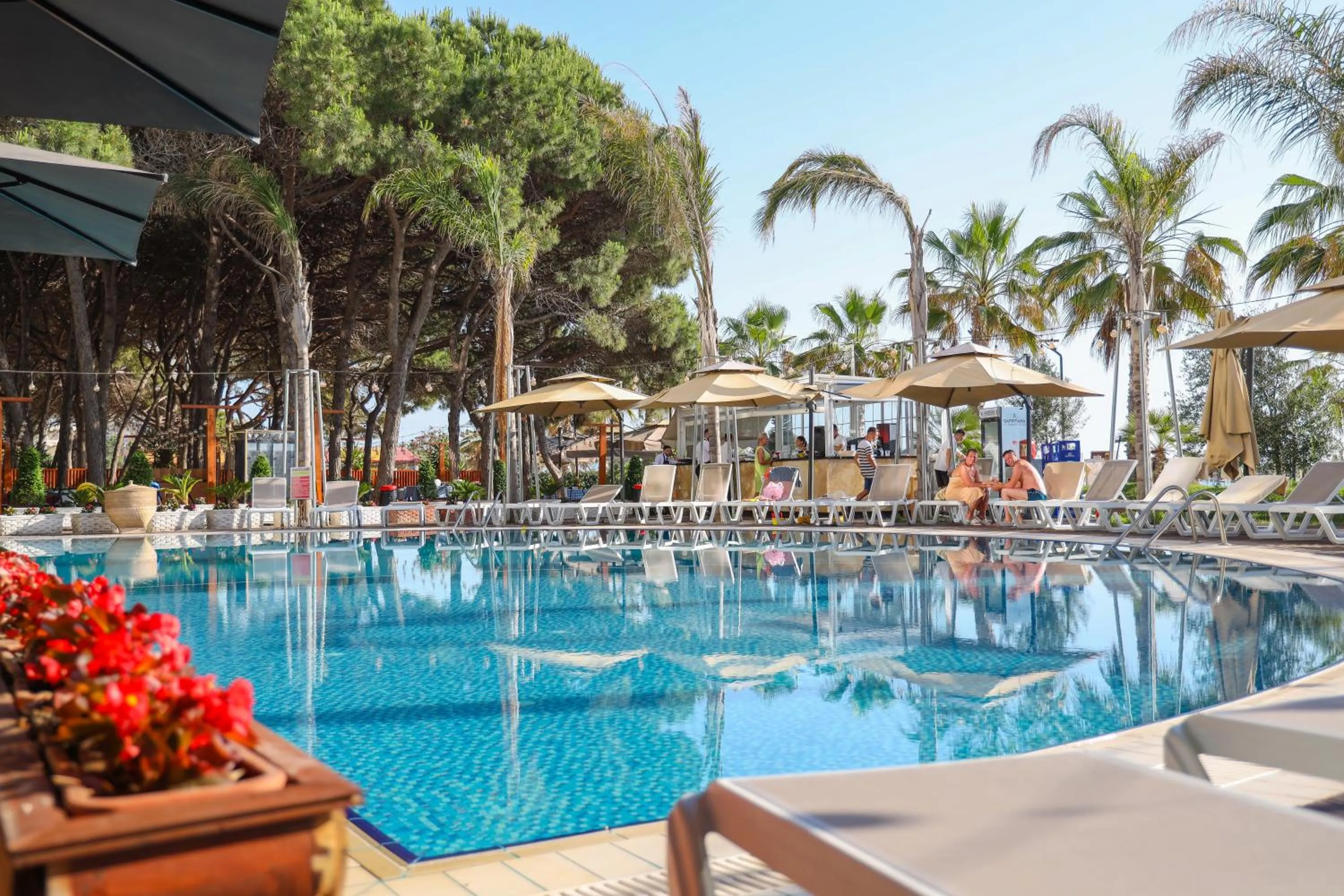 Day in VM Resort & SPA