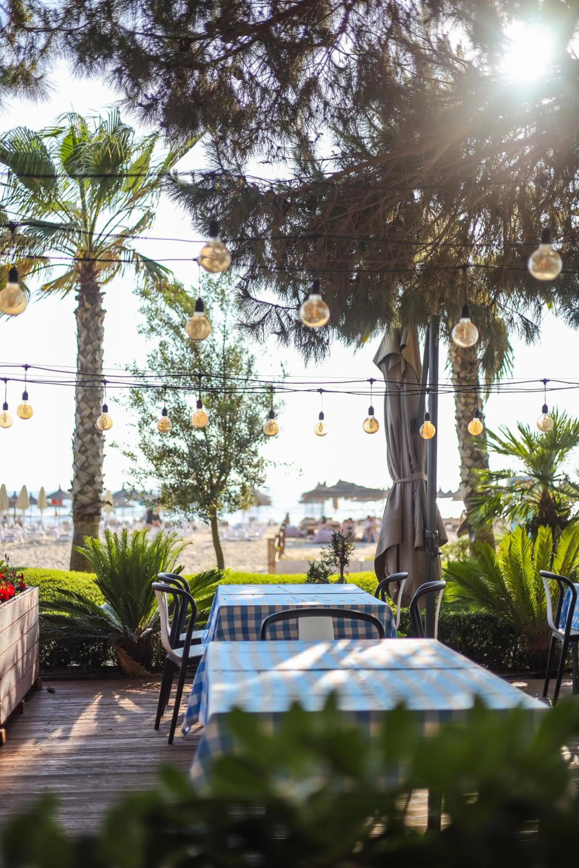 Day in VM Resort & SPA