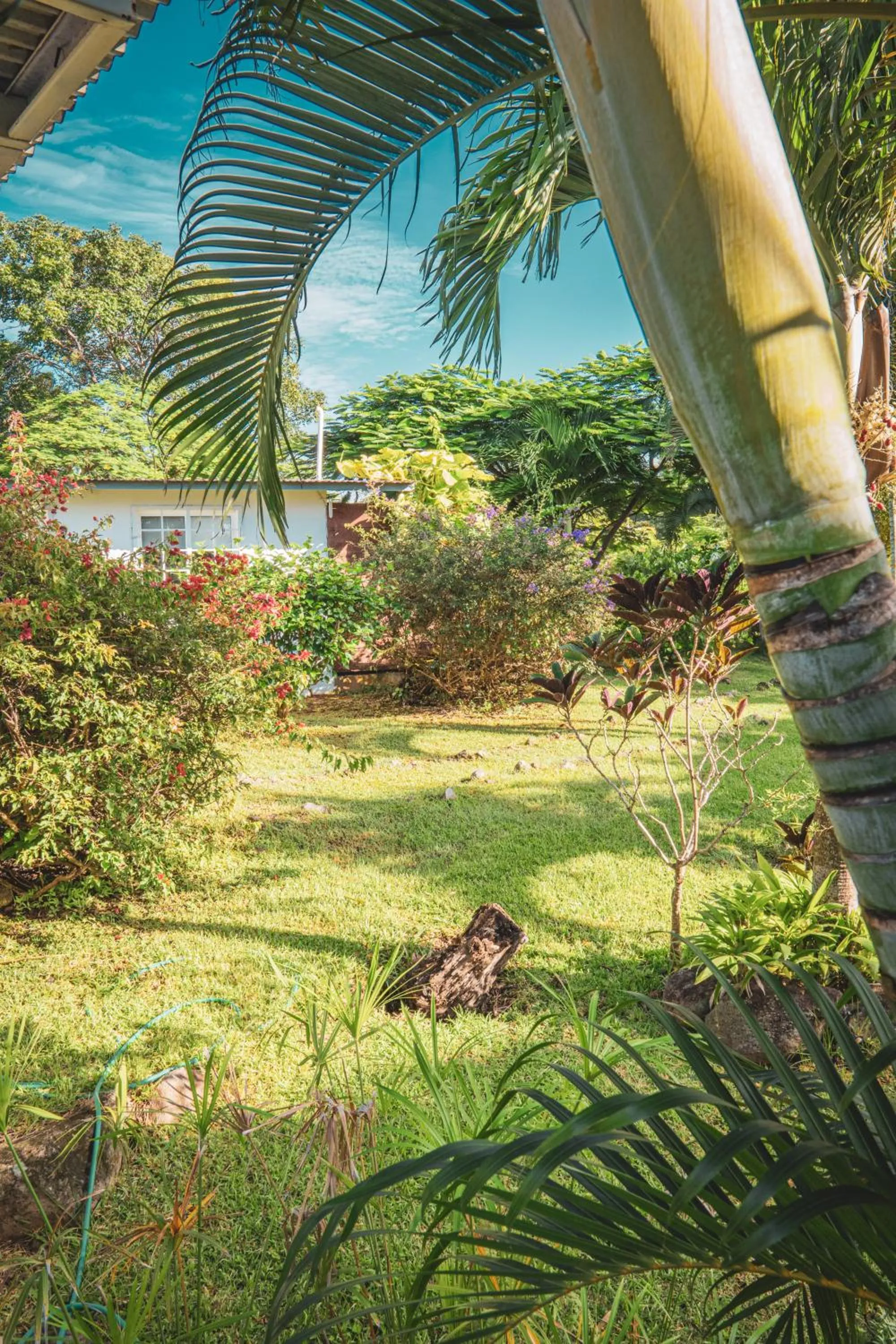 Garden in La Maracuya Panama