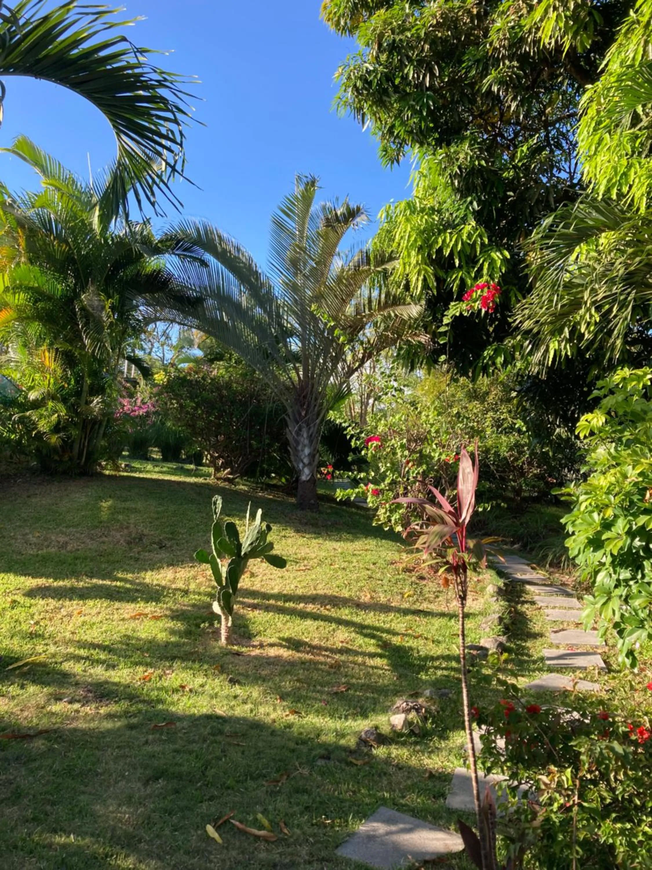 Garden in La Maracuya Panama