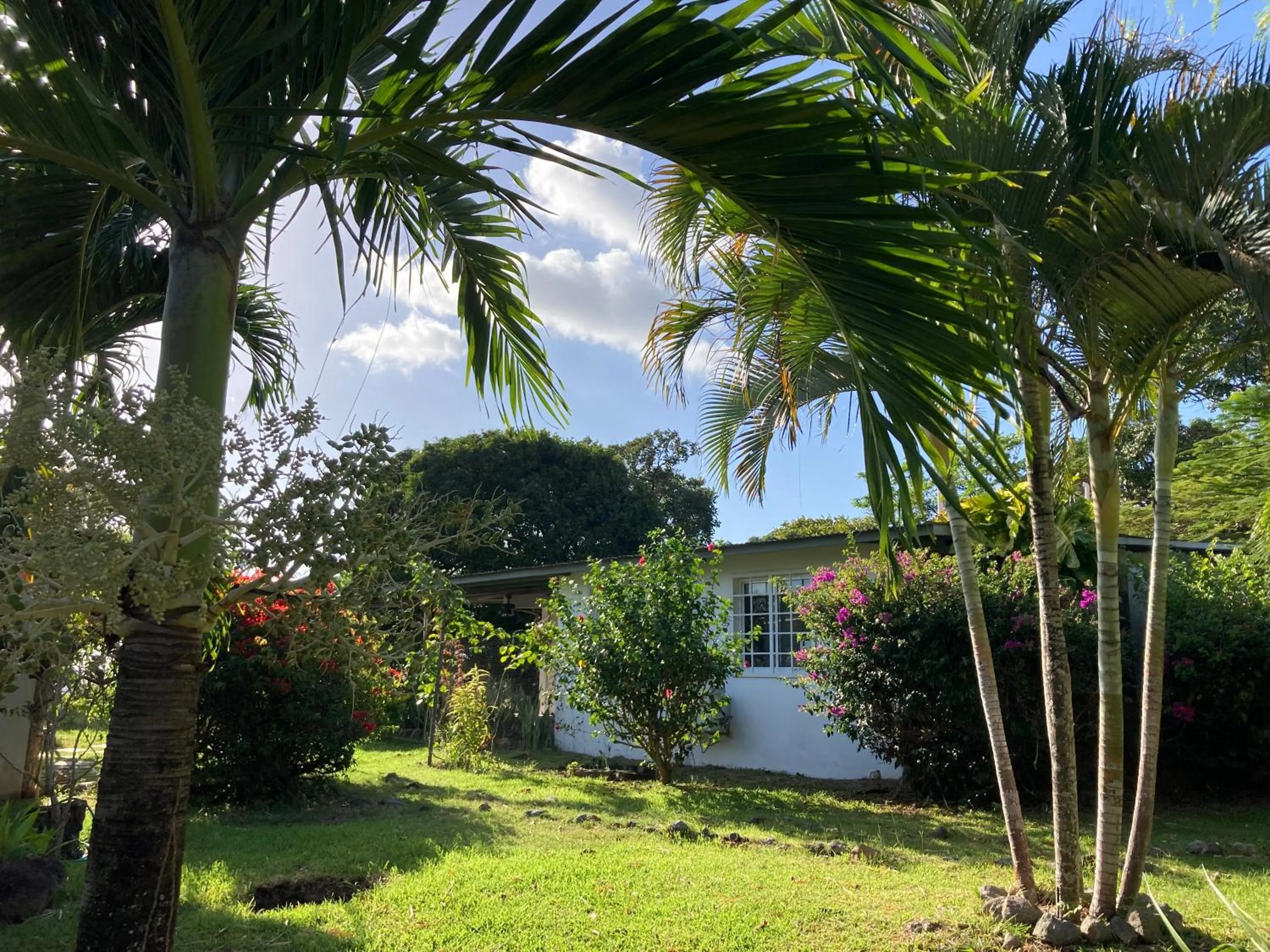 Garden in La Maracuya Panama