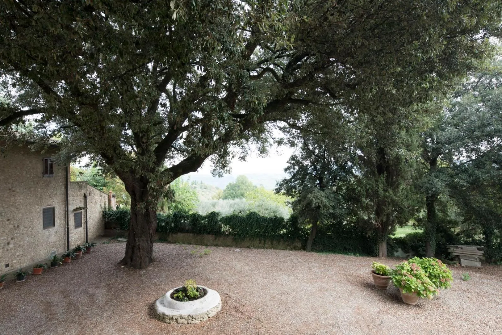 Garden view in Villa Moris bed and breakfast