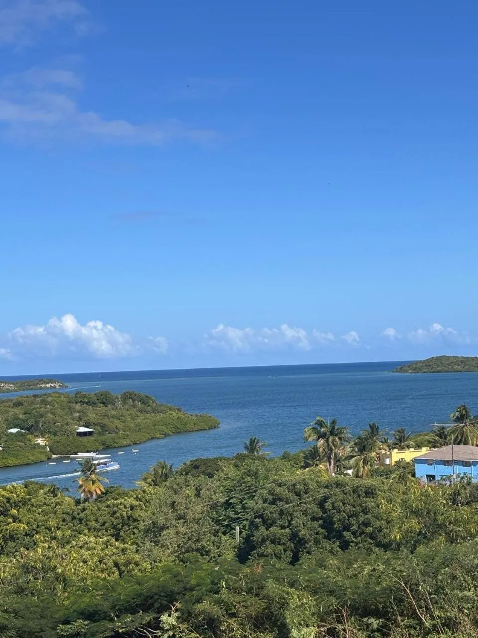 Sea view in Ellen Bay Cottages