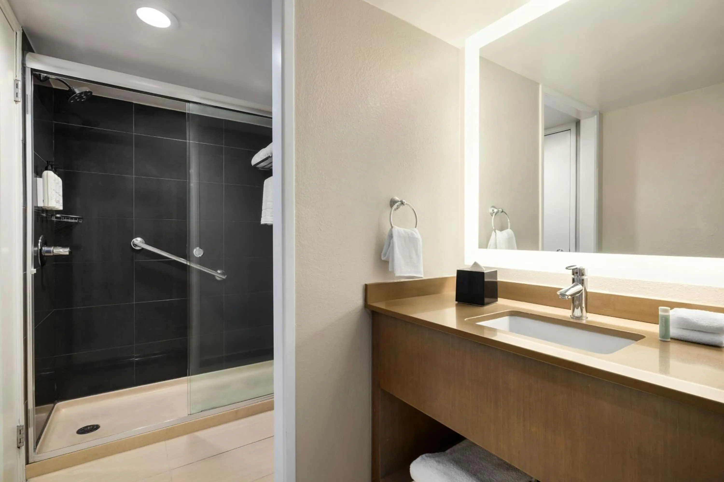Bathroom in TownePlace Suites by Marriott Charlotte LoSo Airport