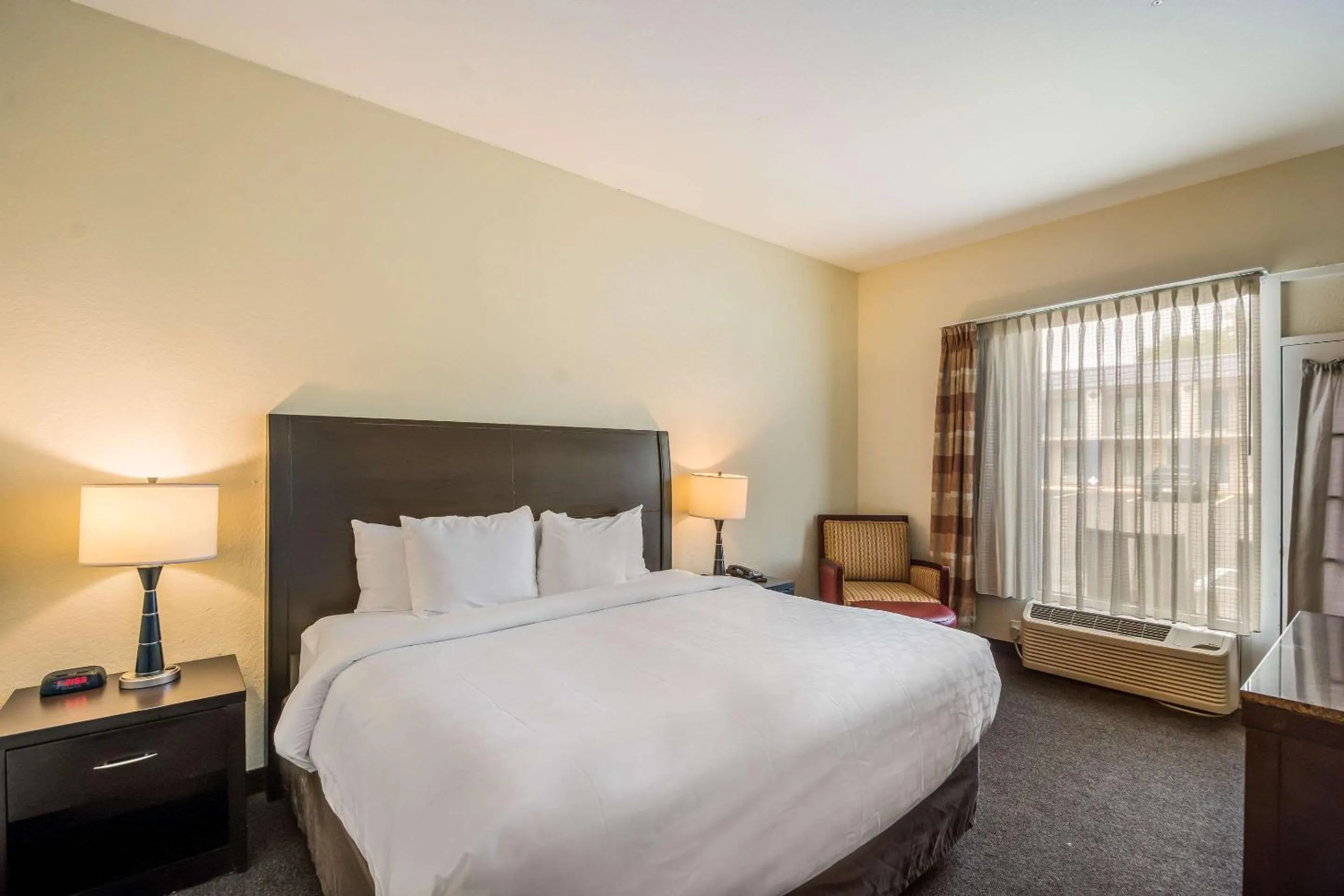 Photo of the whole room, Bed in Clarion Inn & Suites Central Clearwater Beach