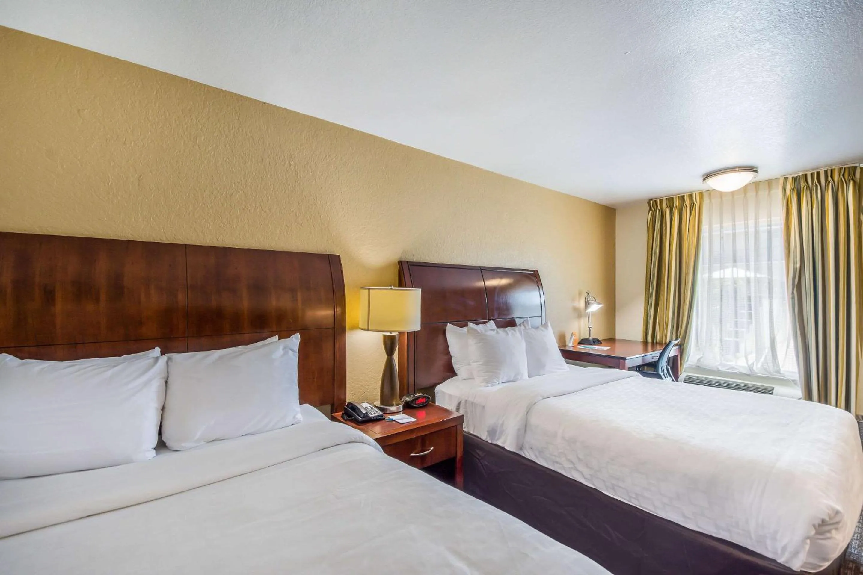 Photo of the whole room, Bed in Clarion Inn & Suites Central Clearwater Beach