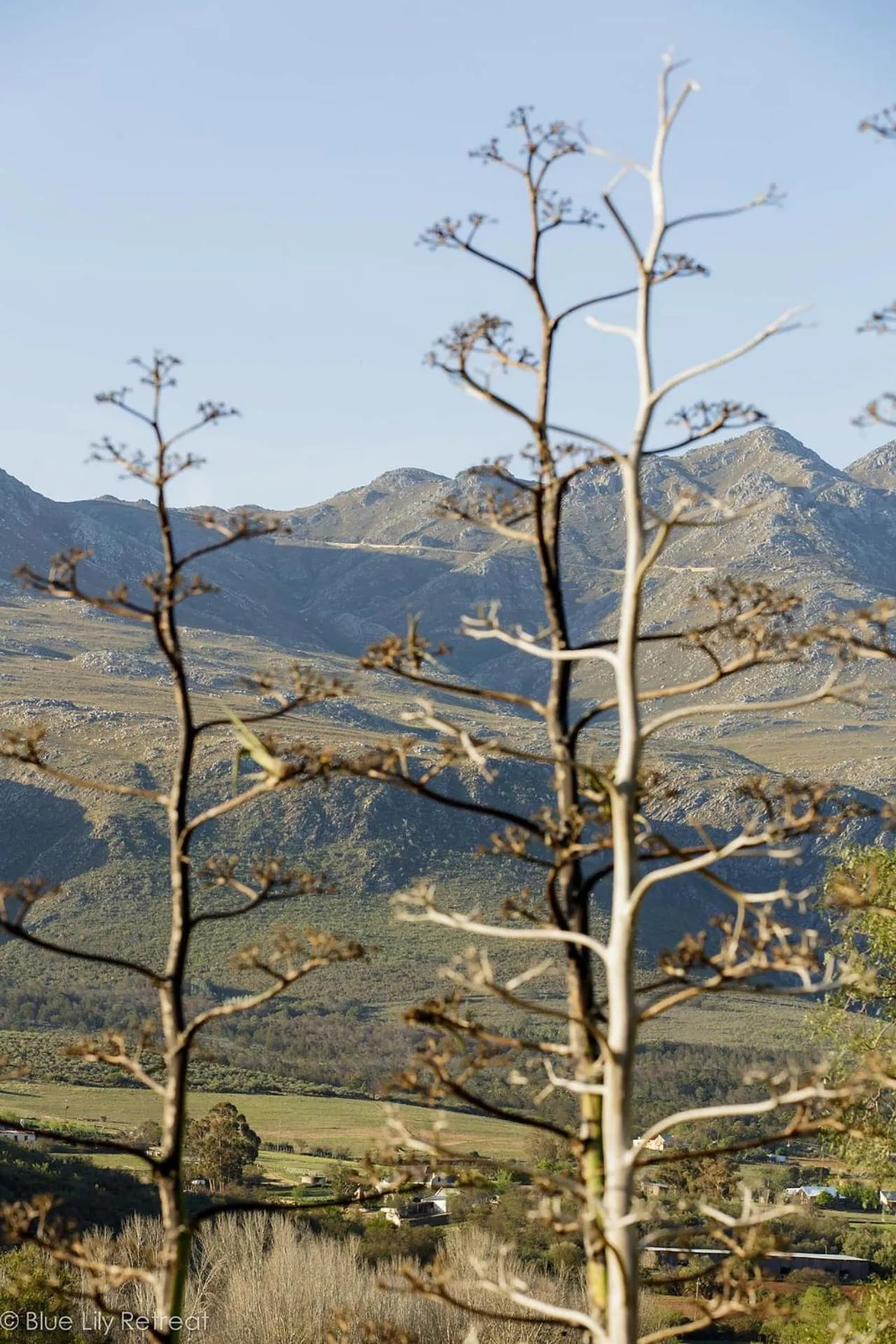 Mountain view in Blue Lily Retreat