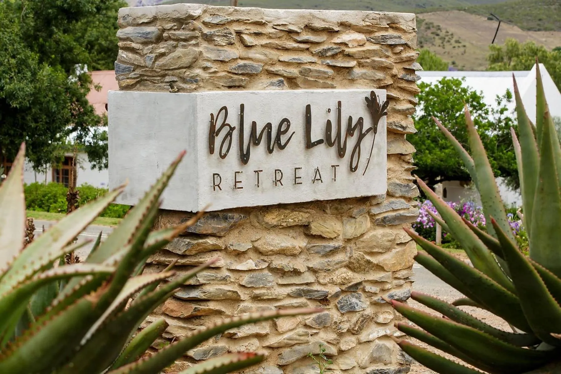 Blue Lily Retreat