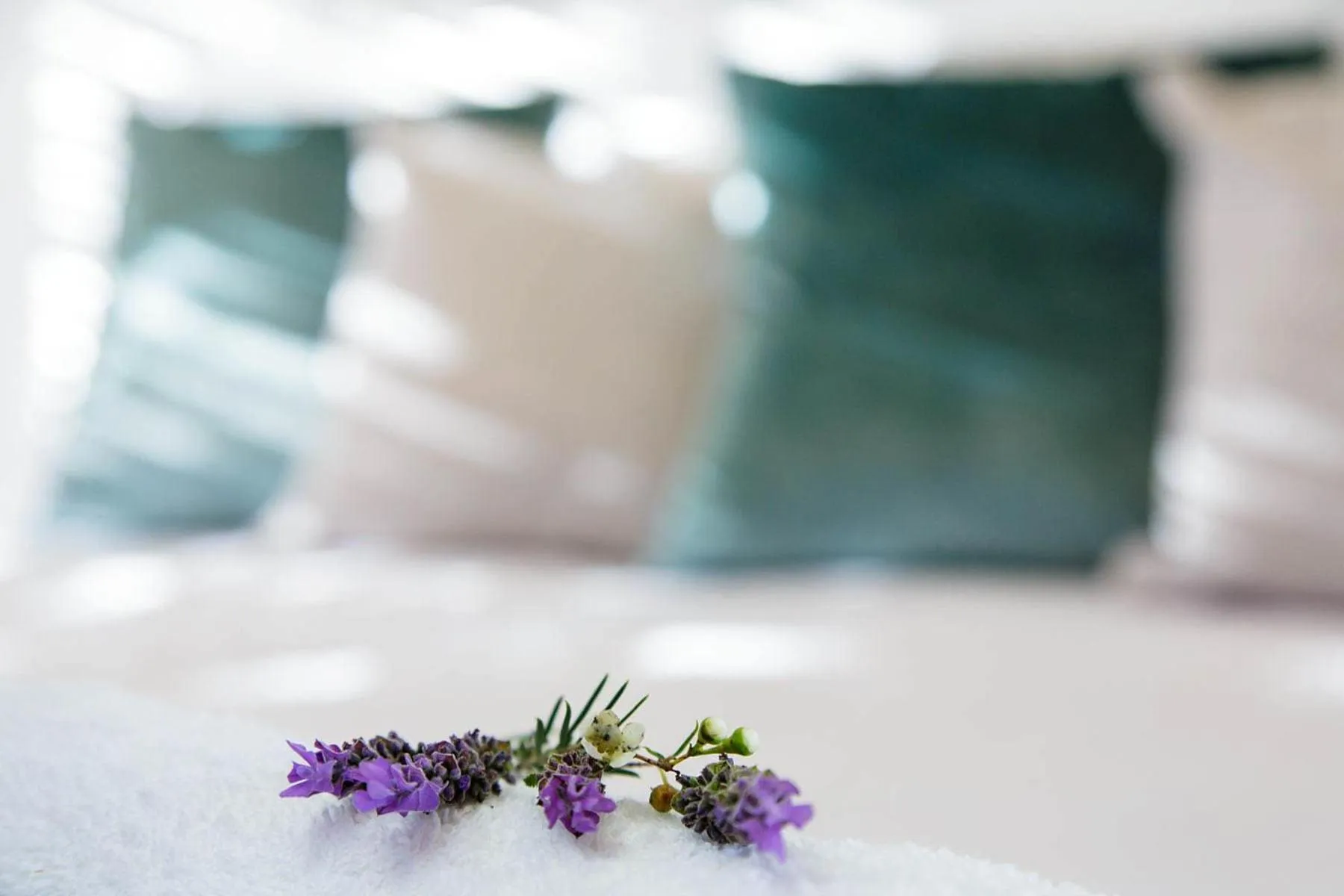 Bed in Blue Lily Retreat