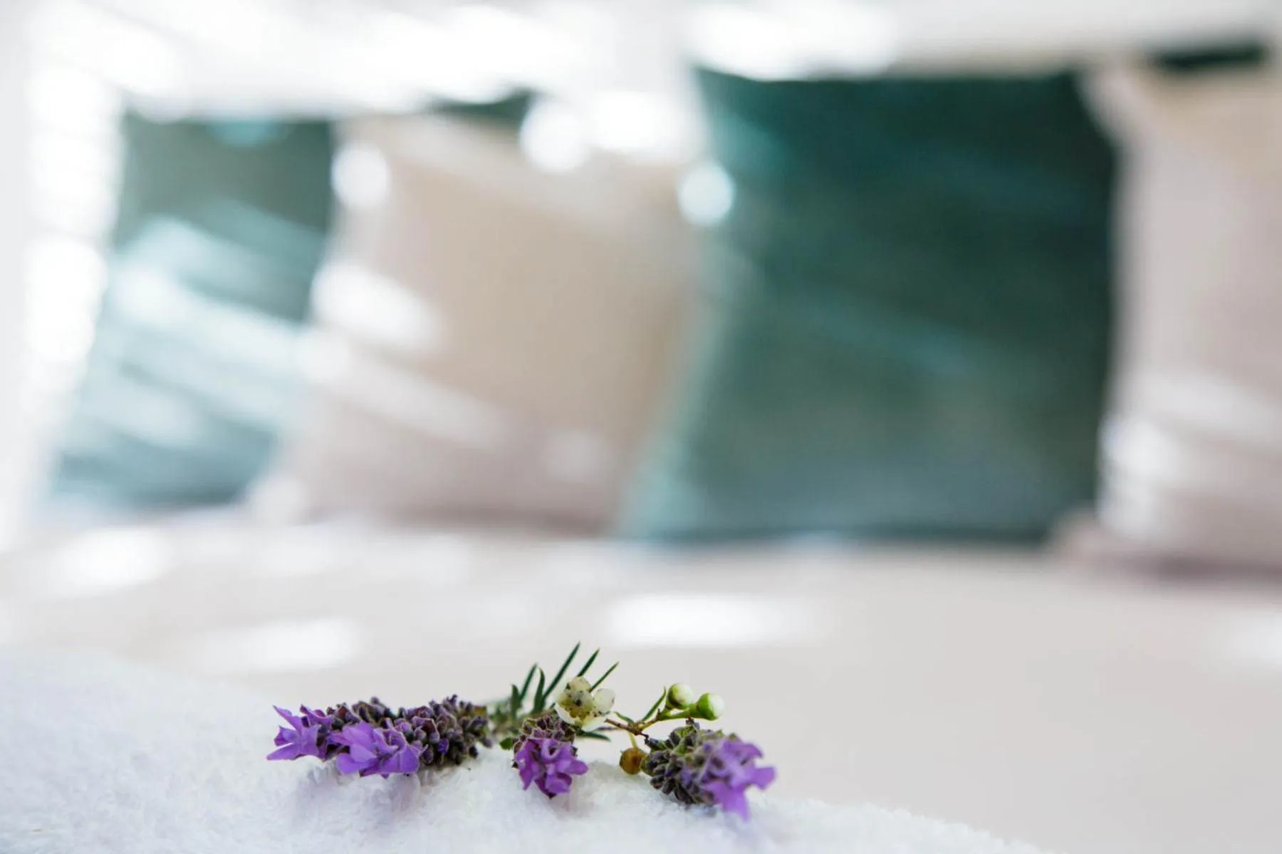 Bed in Blue Lily Retreat