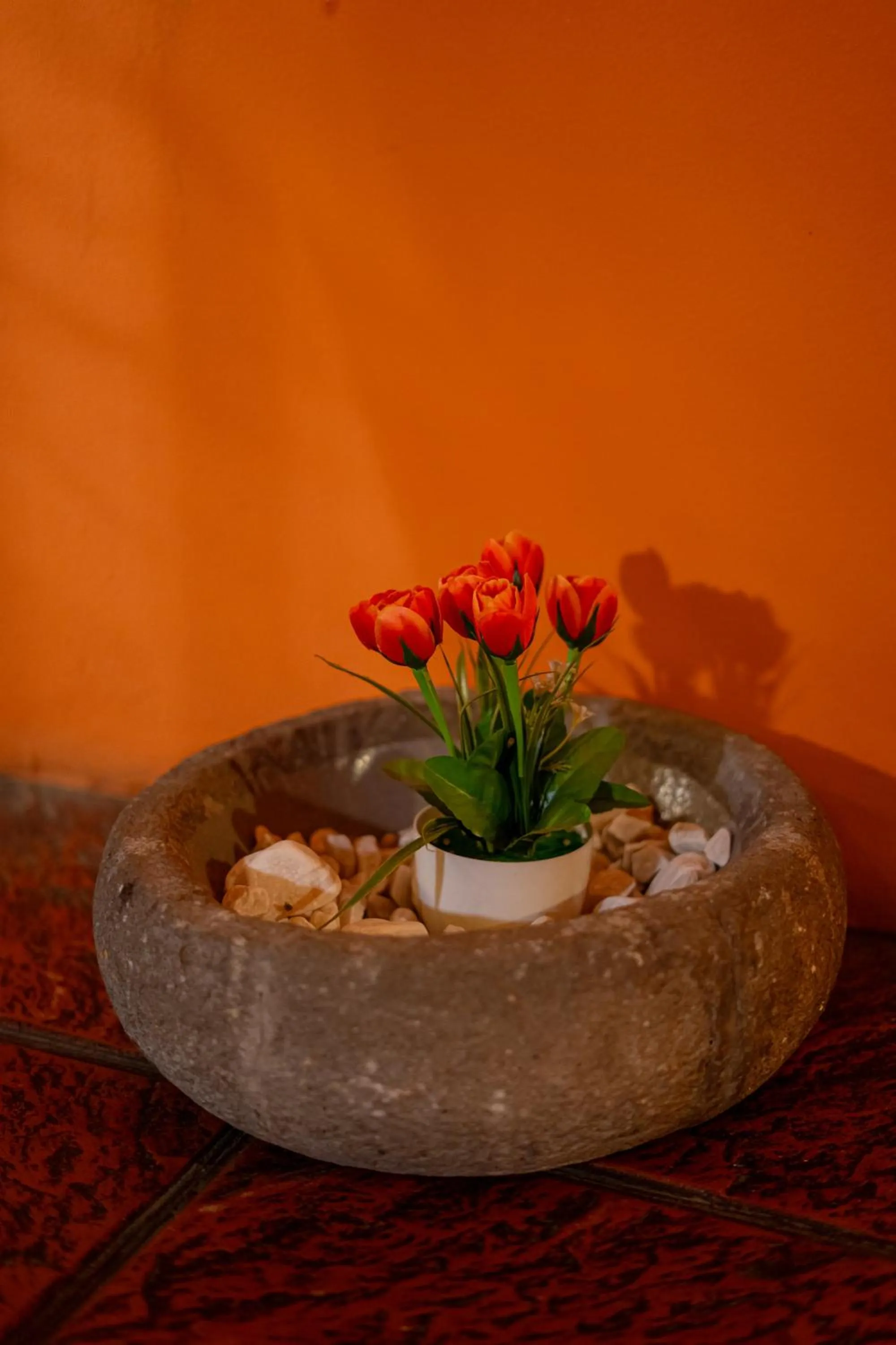 Hotel Villa Española