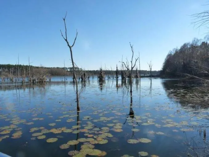 Nearby landmark in Holiday Inn Express Hotel & Suites Bainbridge by IHG