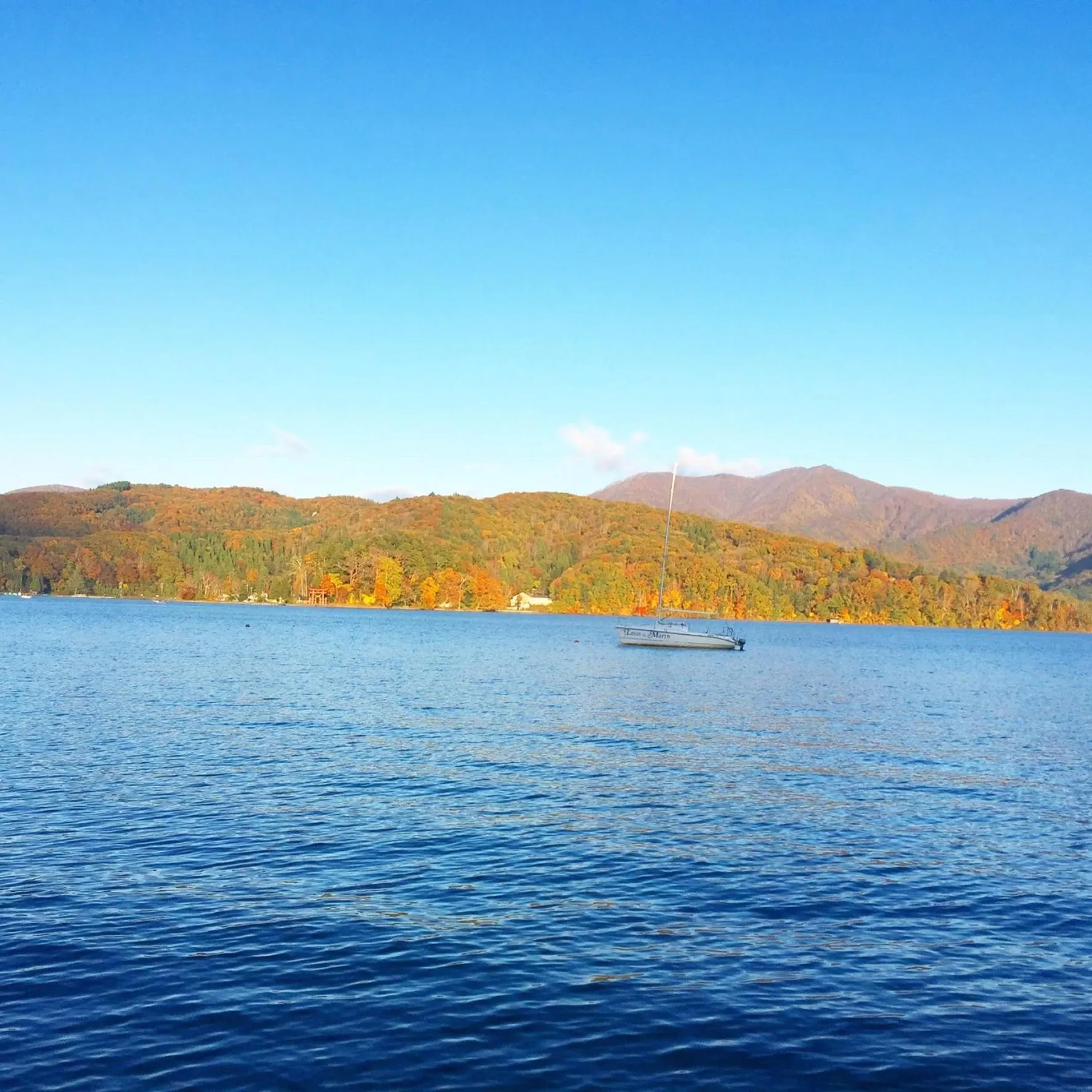 Natural landscape in Lodge Oakland